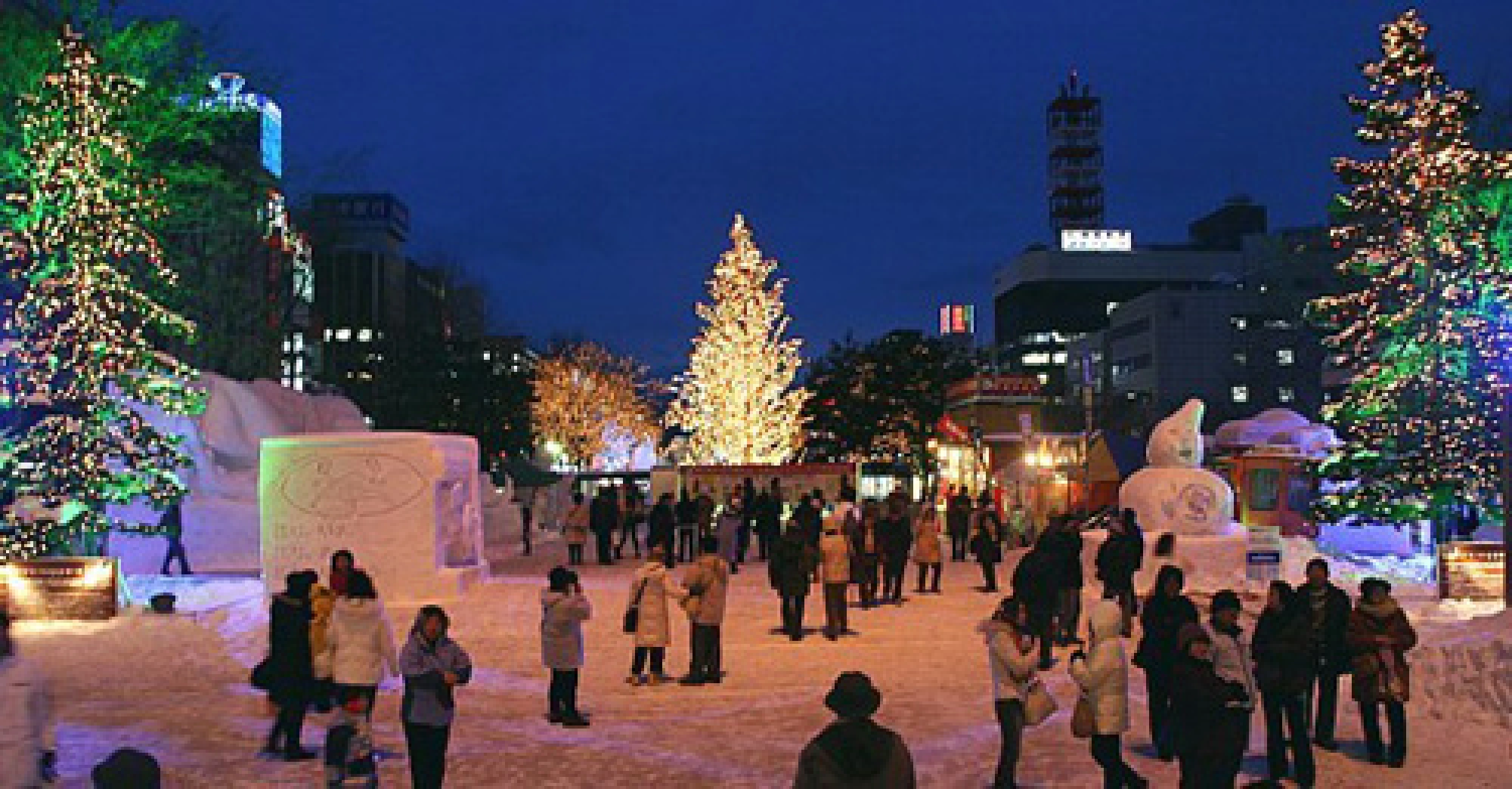 Wrapped up in snow and ice