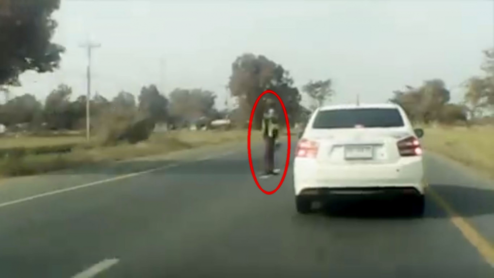 Police probed for recklessness after celebrity injured in crash