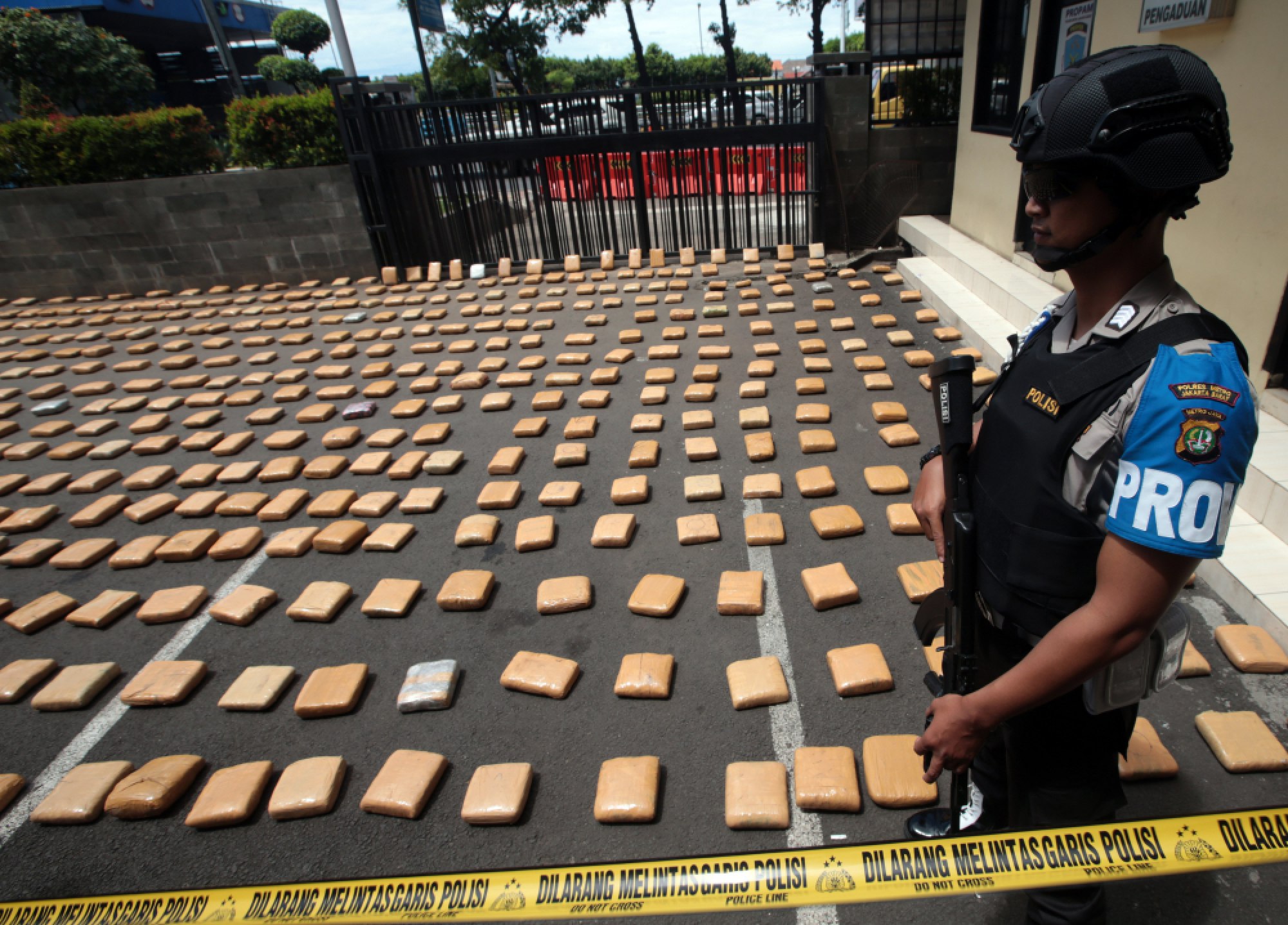 Indonesian police officers display 1.3 tons of cannabis in cannabis