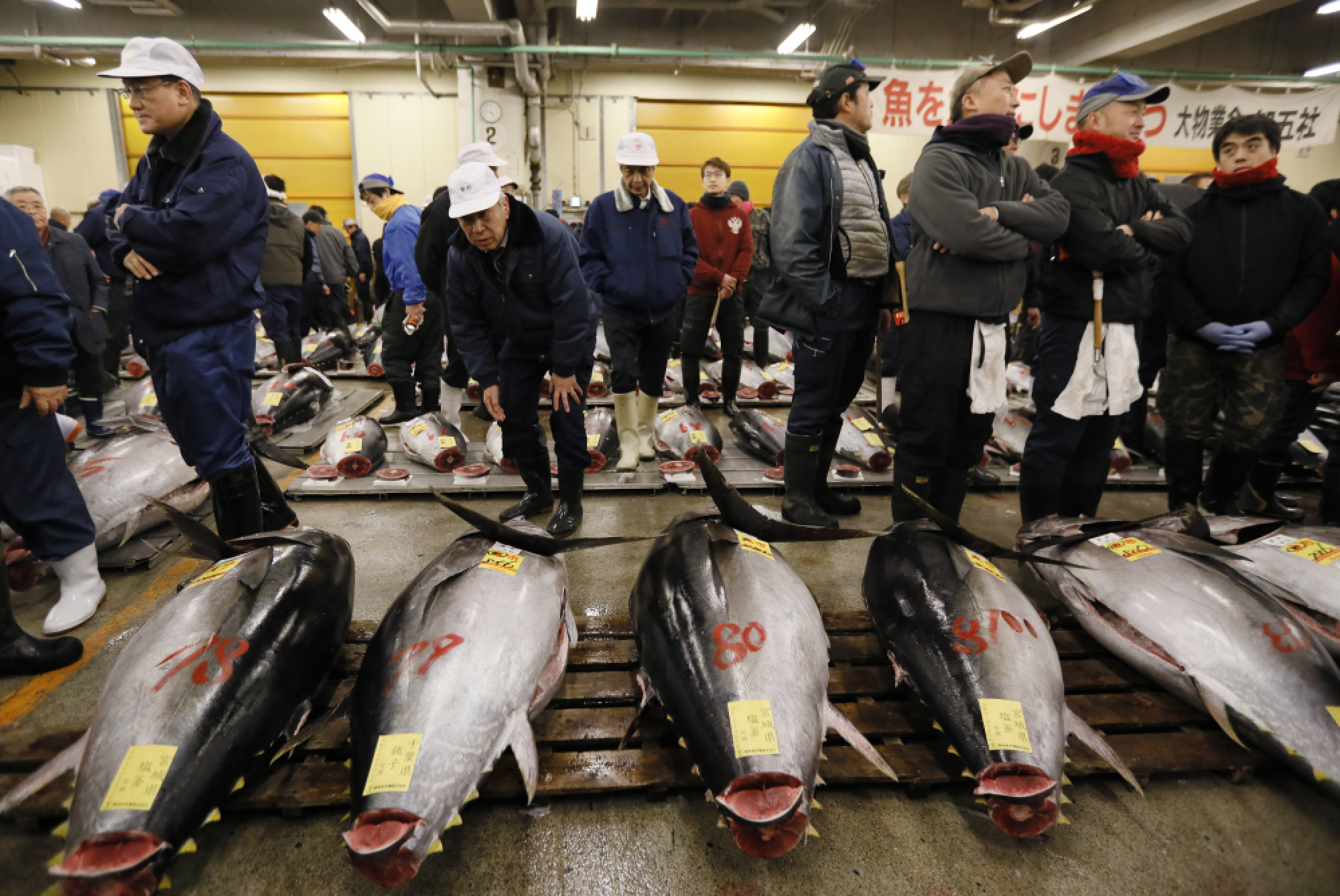 Tsukiji market's final year-opening tuna auction in Tokyo