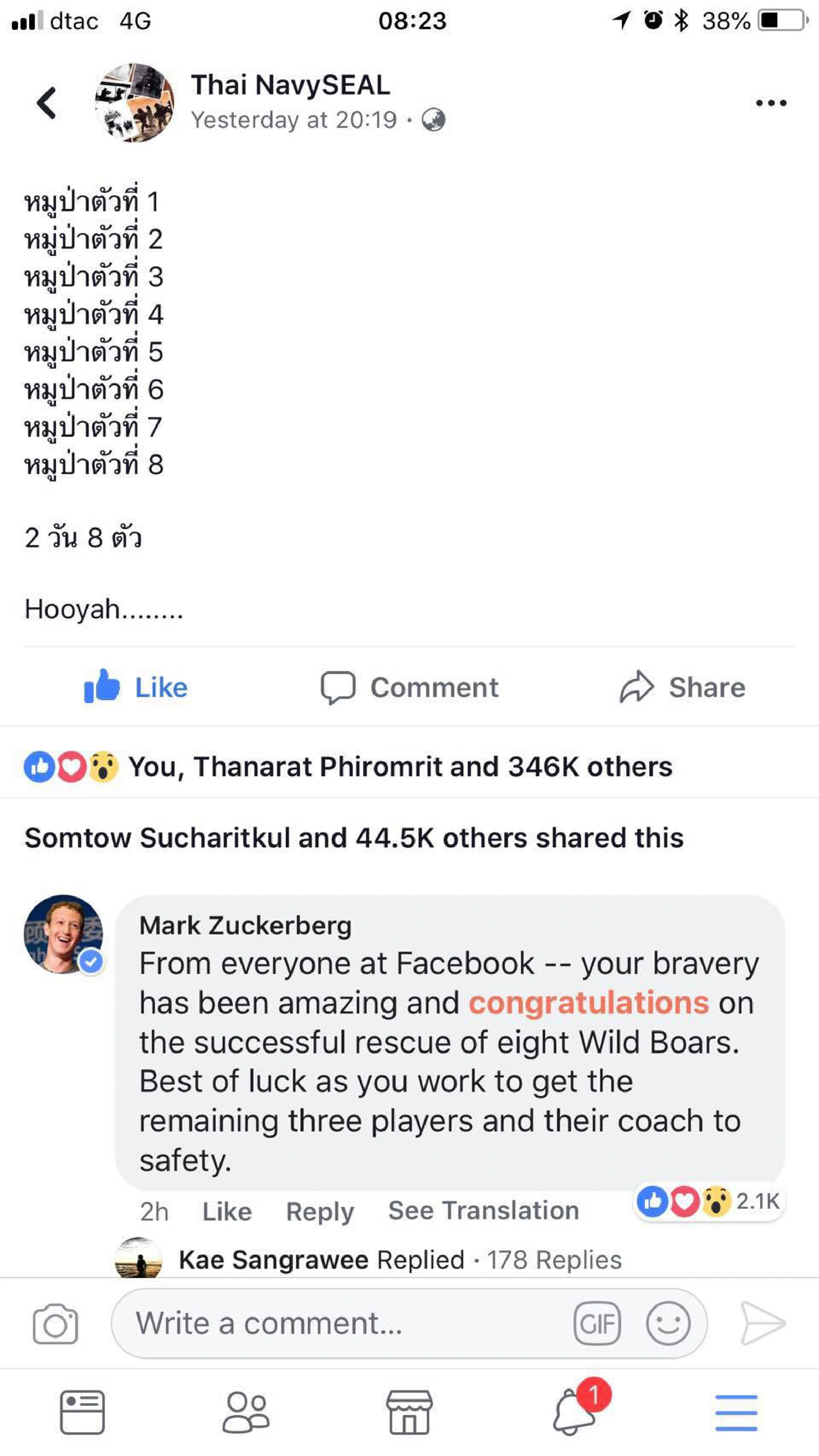 Wild Boars cheered on by football elite