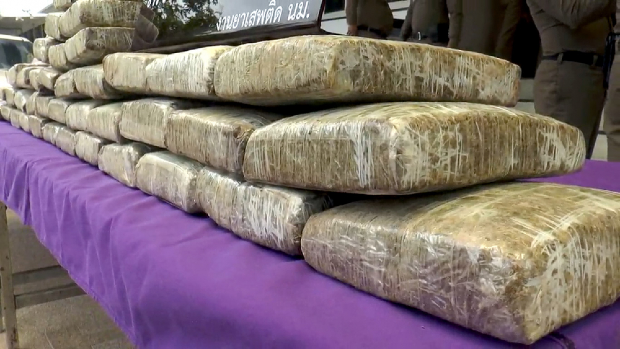 559kg of marijuana found in Korat