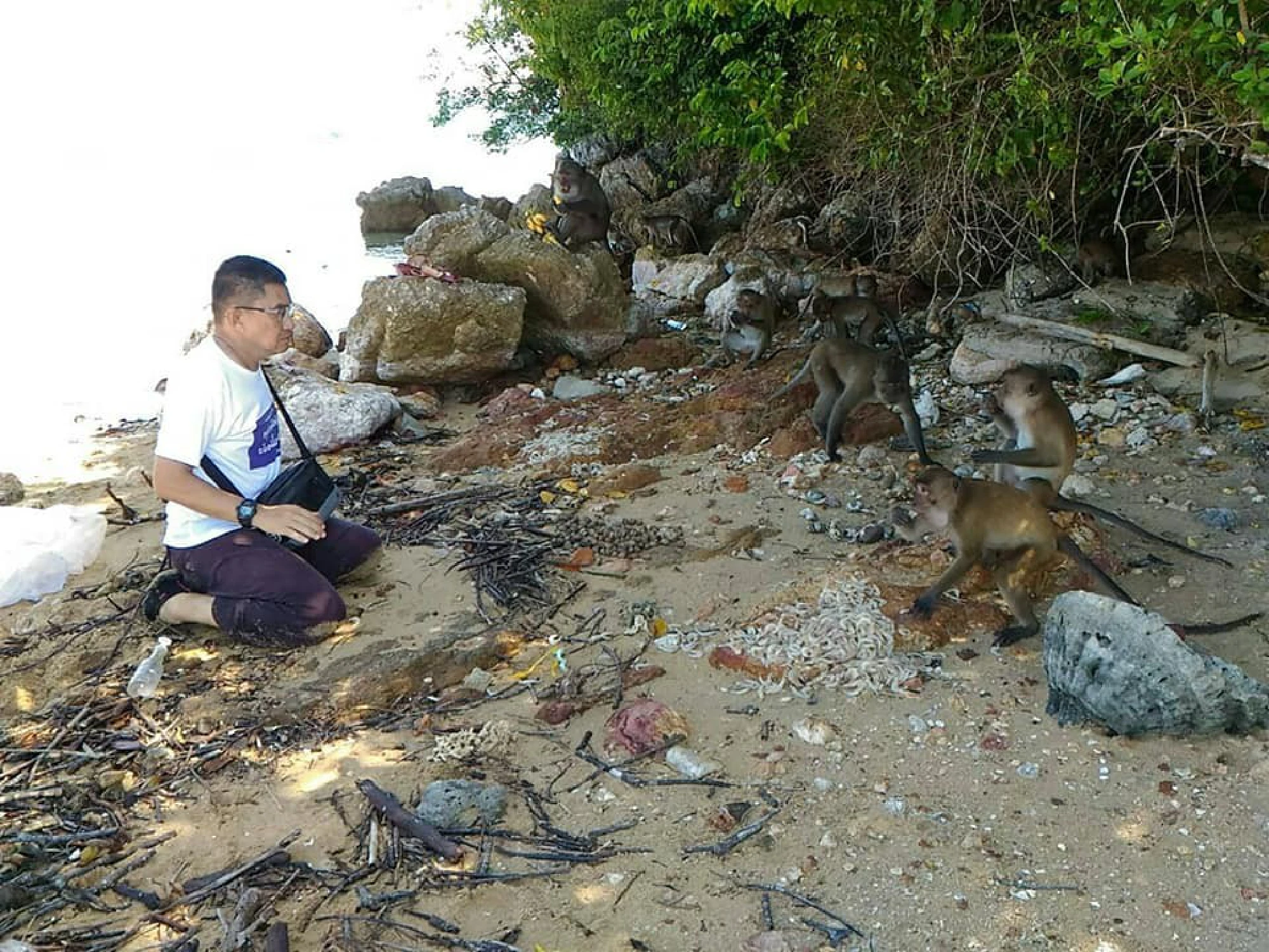 Koh Payu monkeys get a seafood feast