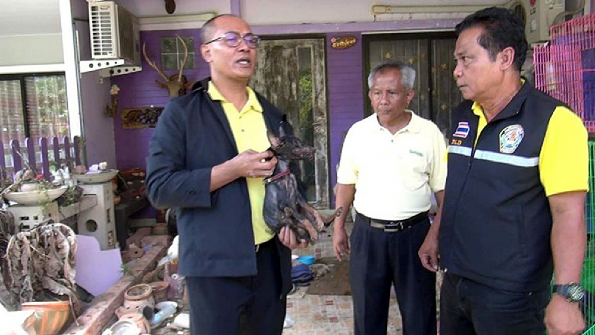 Pets left to die in seized home: official
