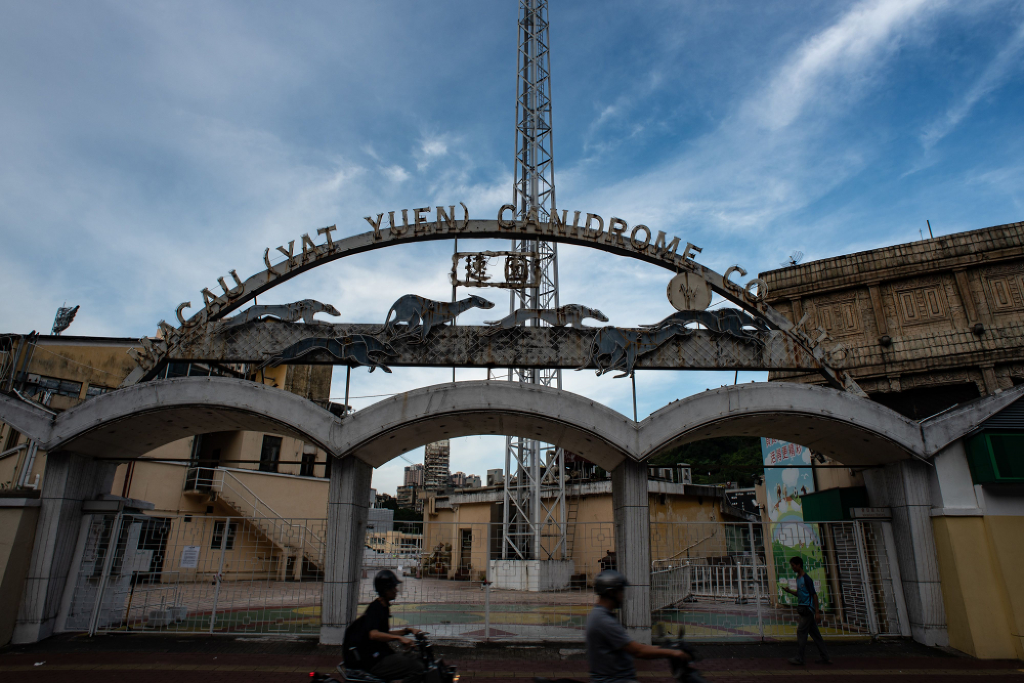 Hundreds of Macau greyhounds await their forever homes