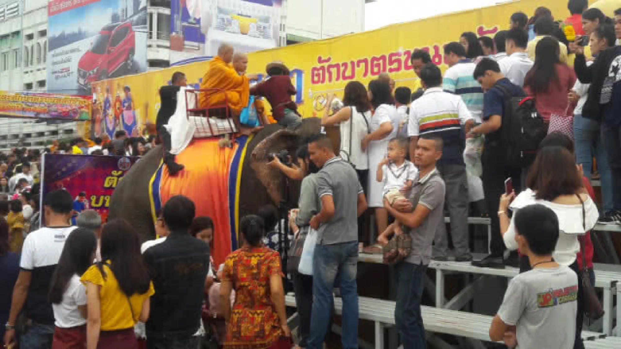 Surin’s elephants carry monks into rain retreat