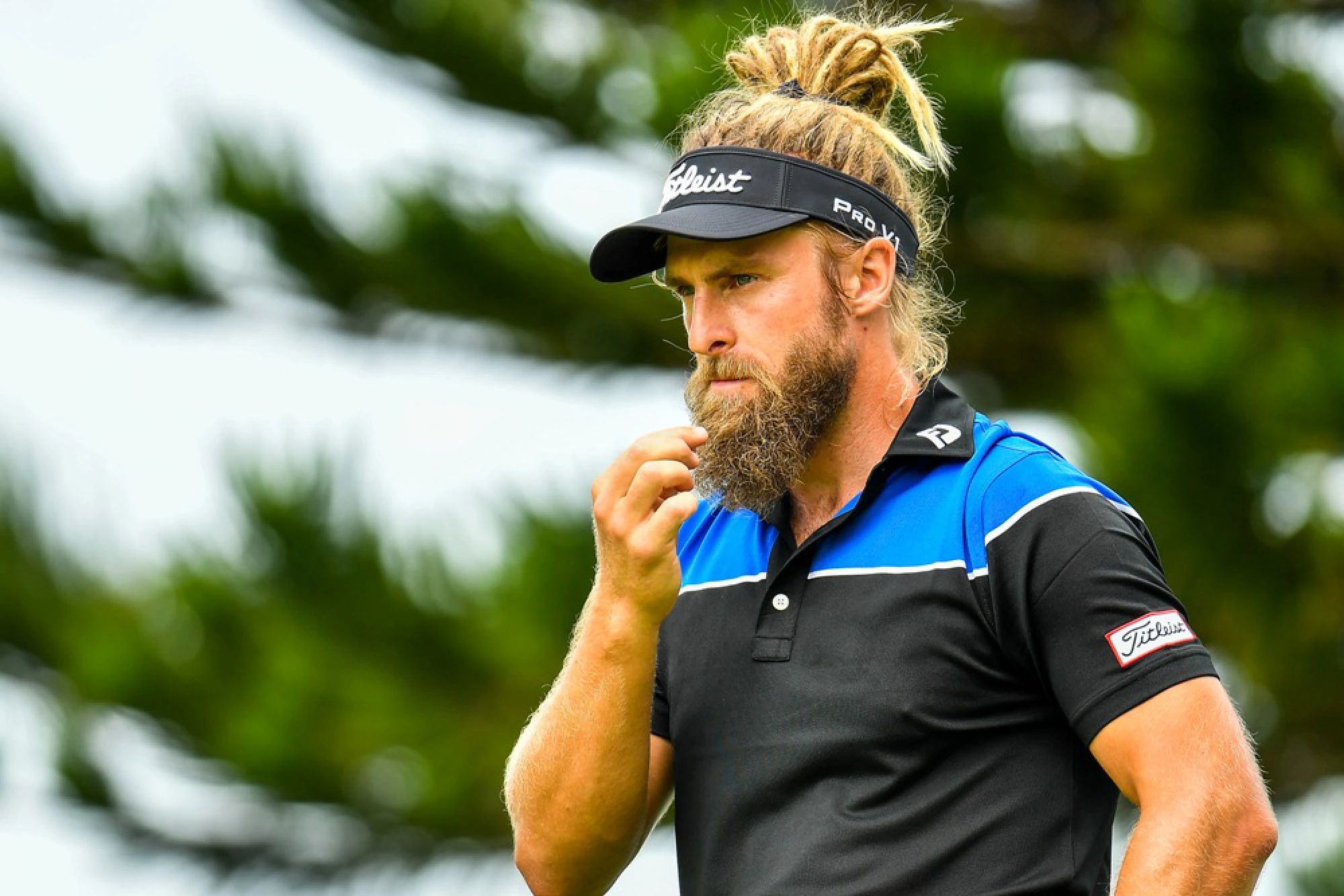 Red-hot Harding in pole position to win again