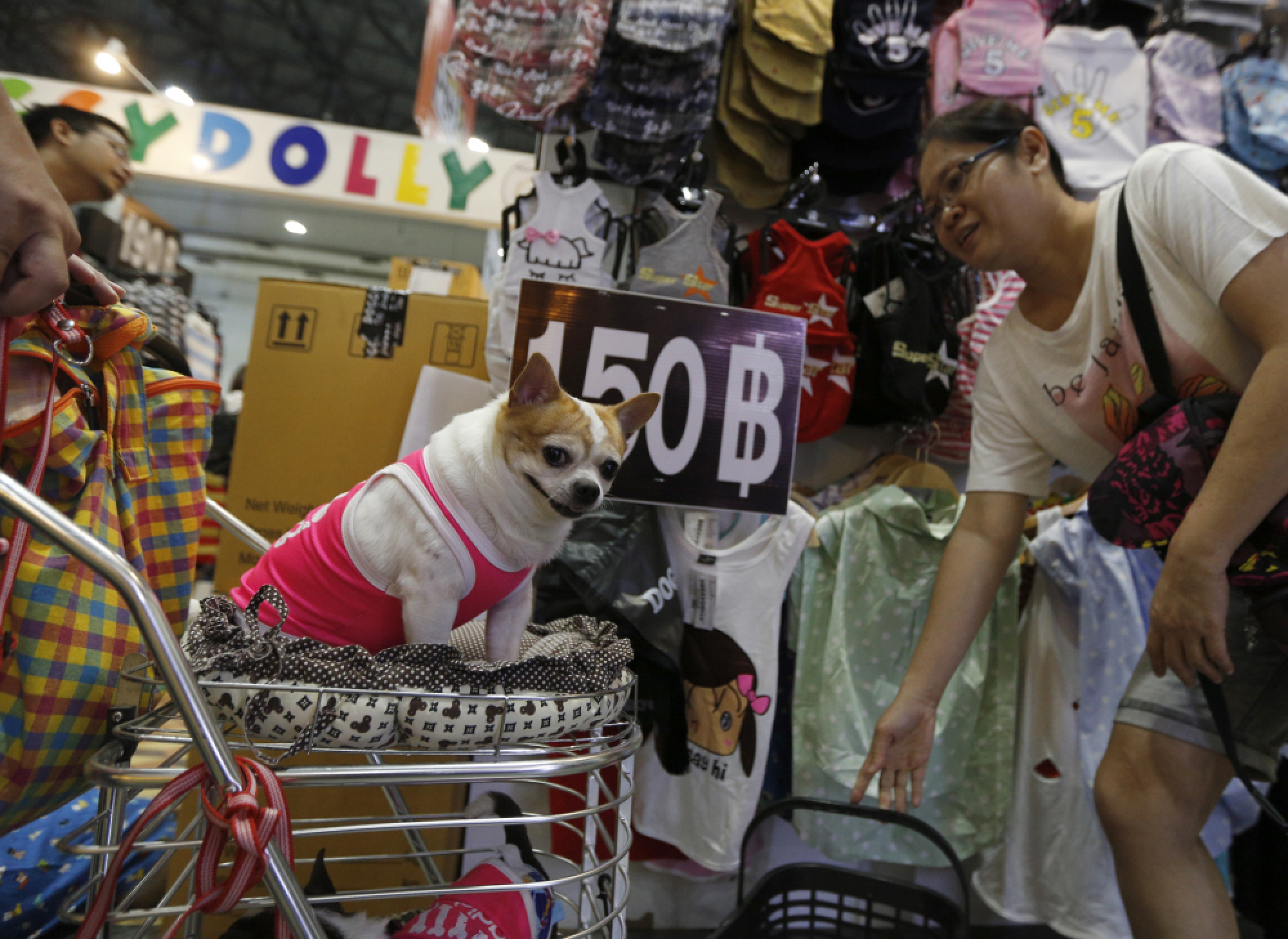 Thailand International Dog Show 2018 in Bangkok