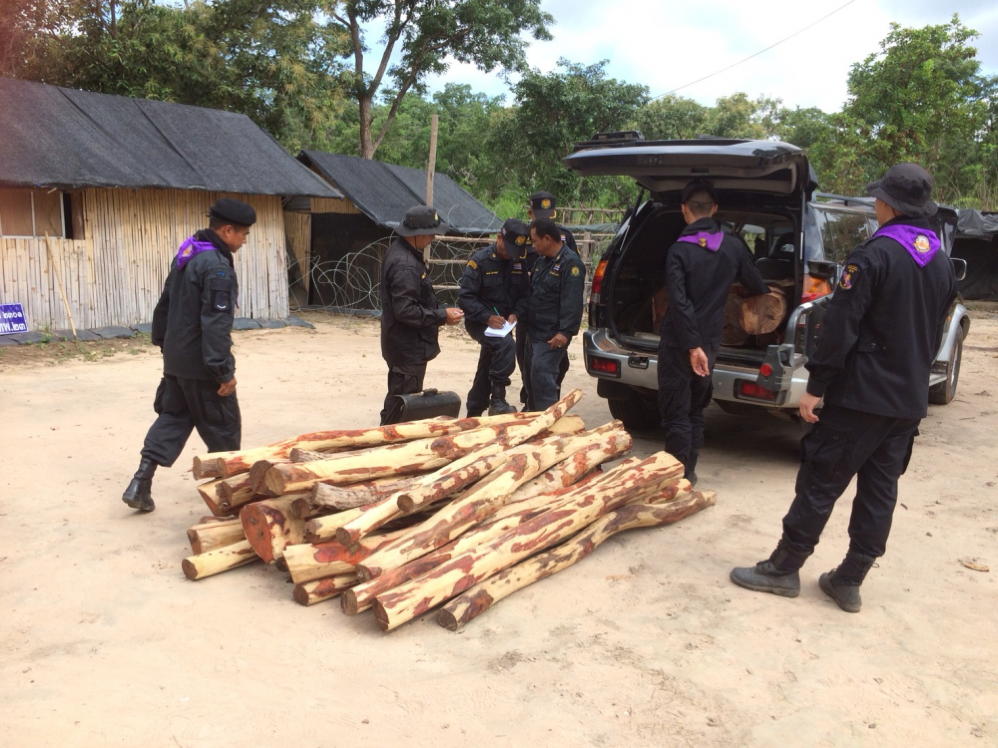 Rangers seize rare logs as smugglers flee down Ubon forest paths