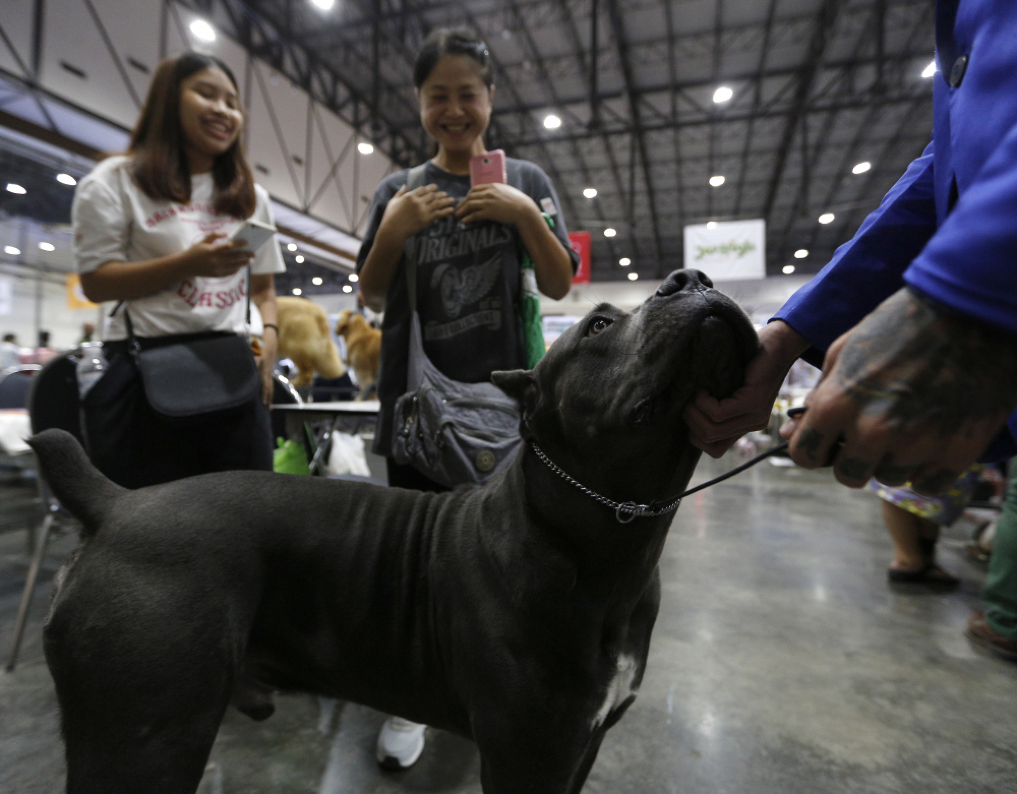Thailand International Dog Show 2018 in Bangkok