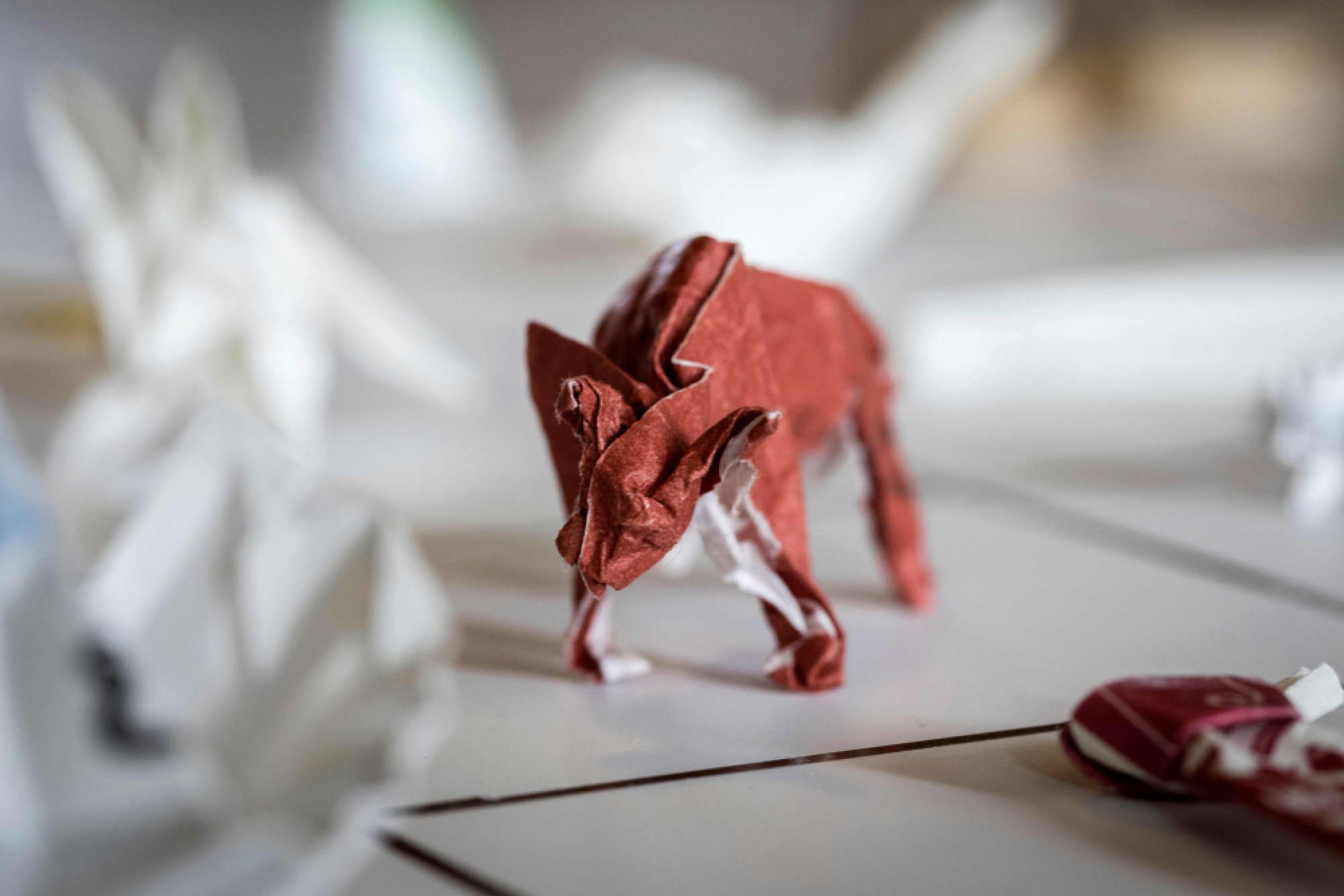 Honoured with origami