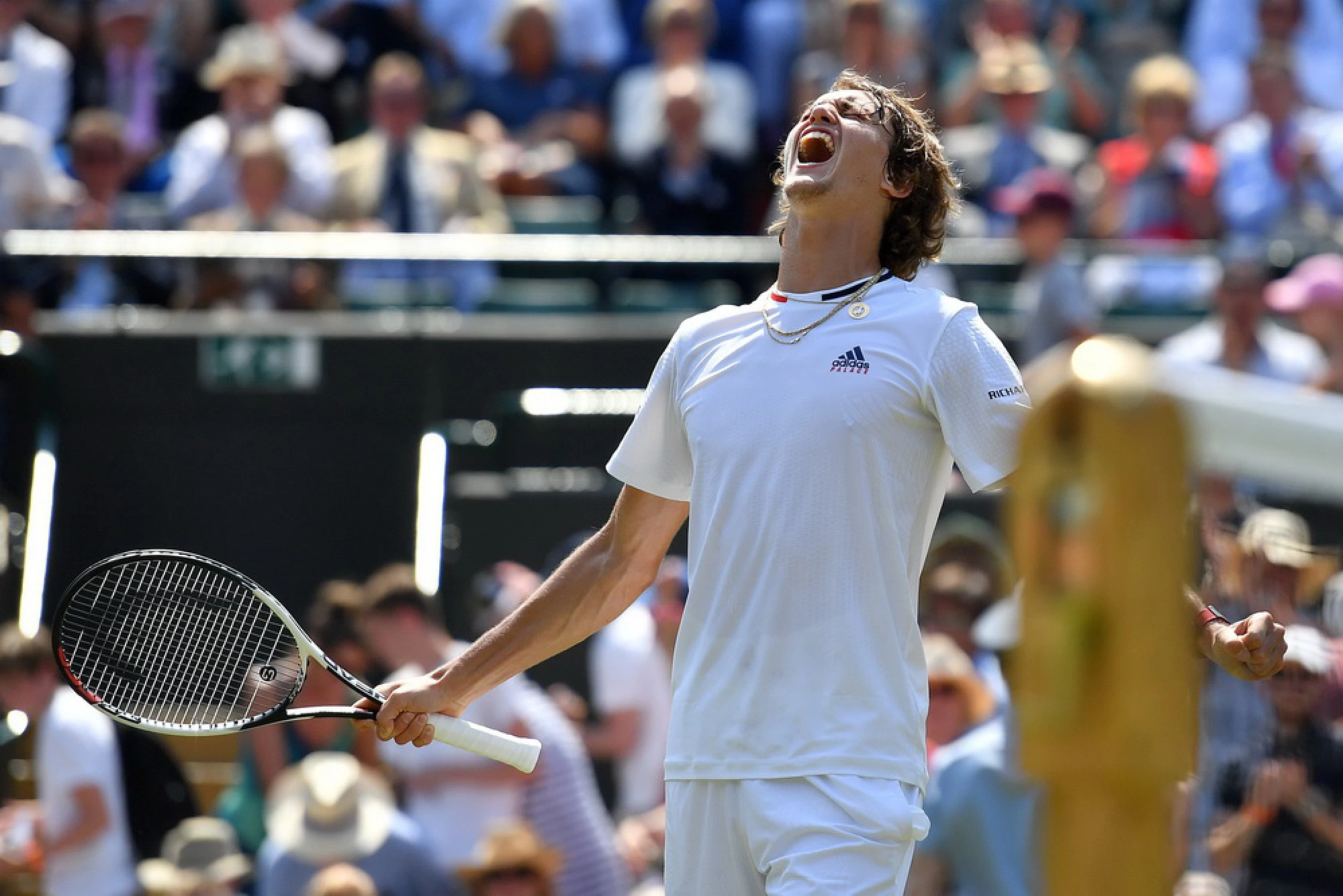 Advantage Serena as Venus joins seeds exit at Wimbledon