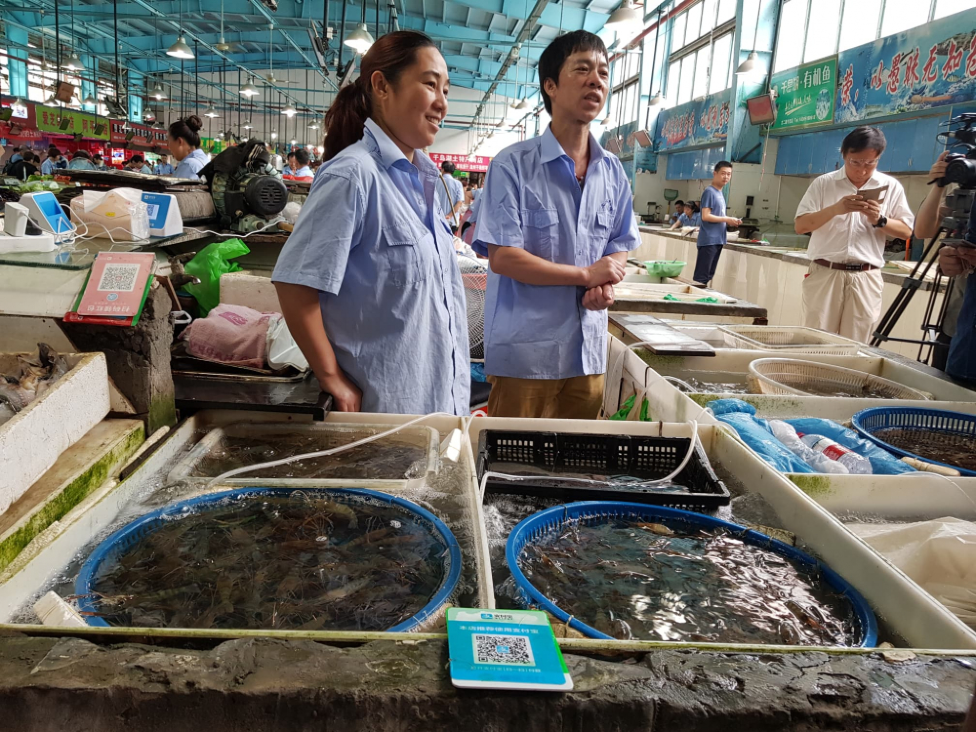 No money, no problem