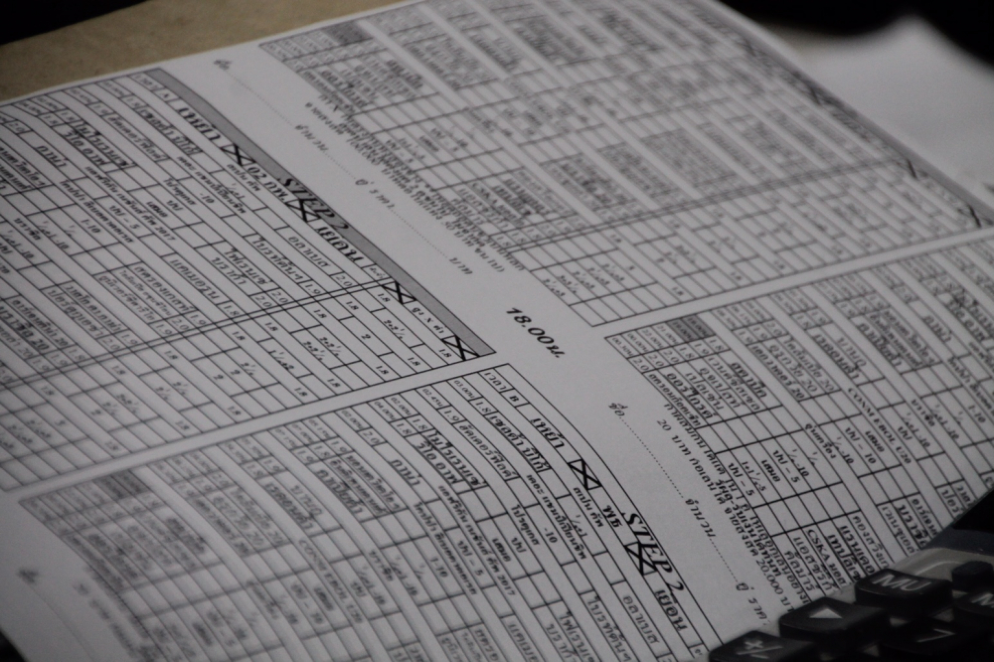 Elephants join police, psychiatrists to kick football gambling into touch