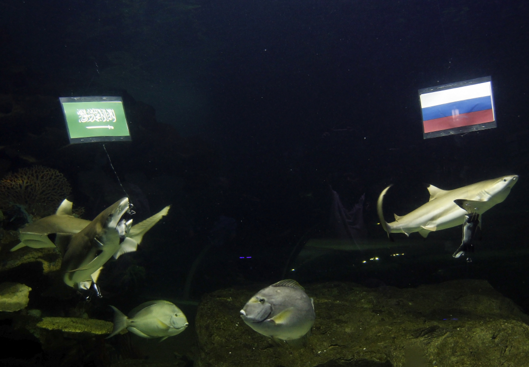 Youth warned to avoid life-wrecking World Cup gambling trap