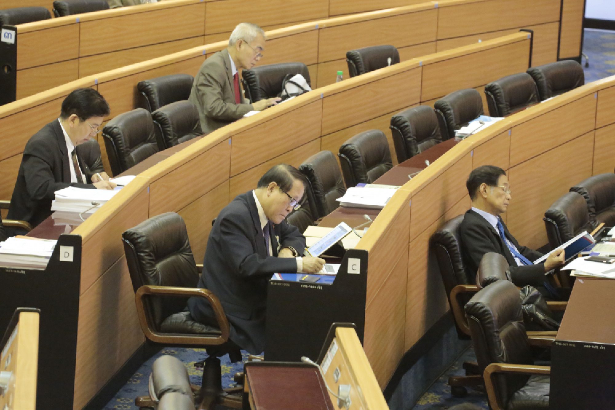 Committee set up to study National Strategy after vote is delayed