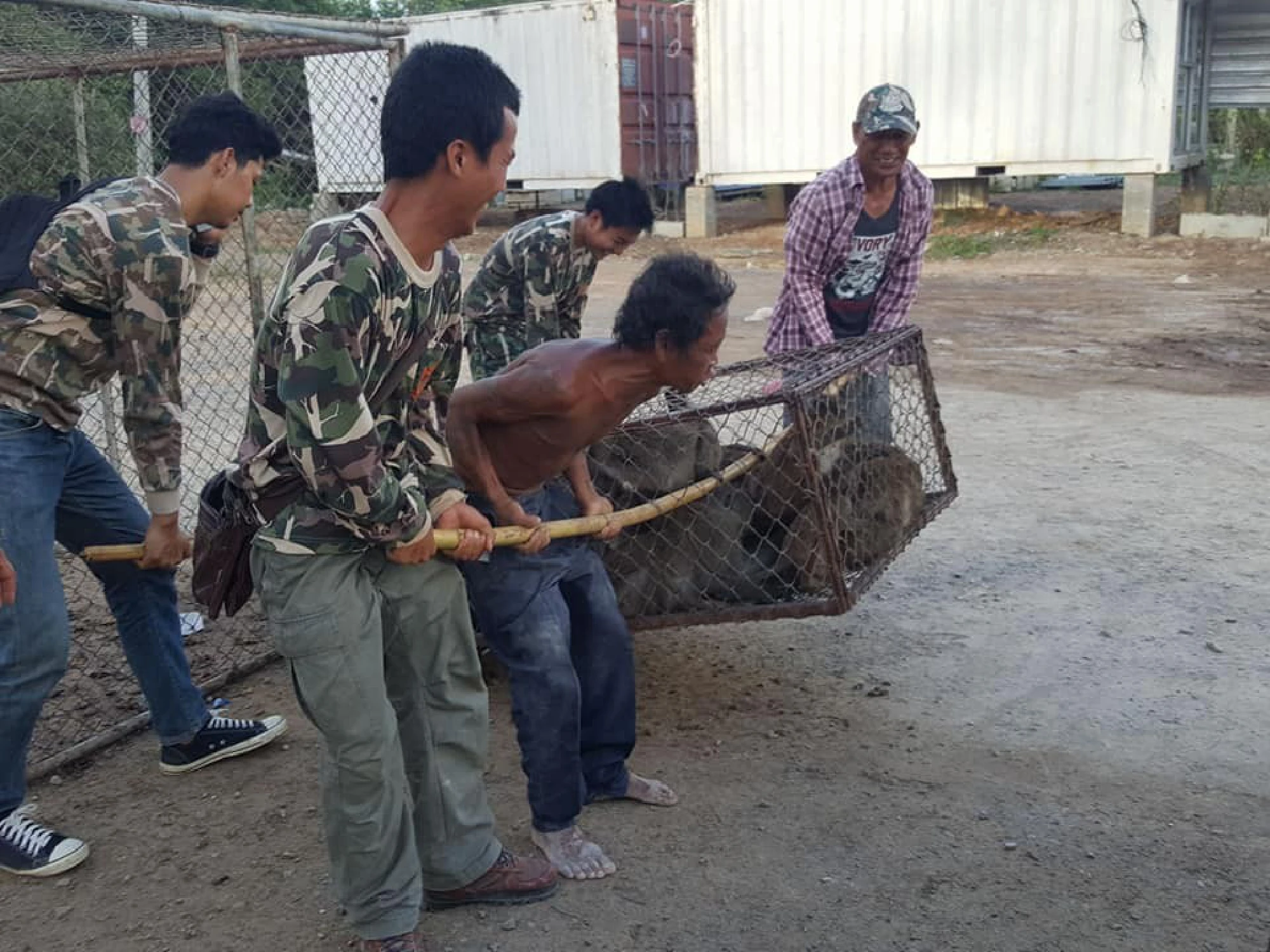 Another 38 monkeys captured in Rassada,  water tanks installed on Koh Tanan