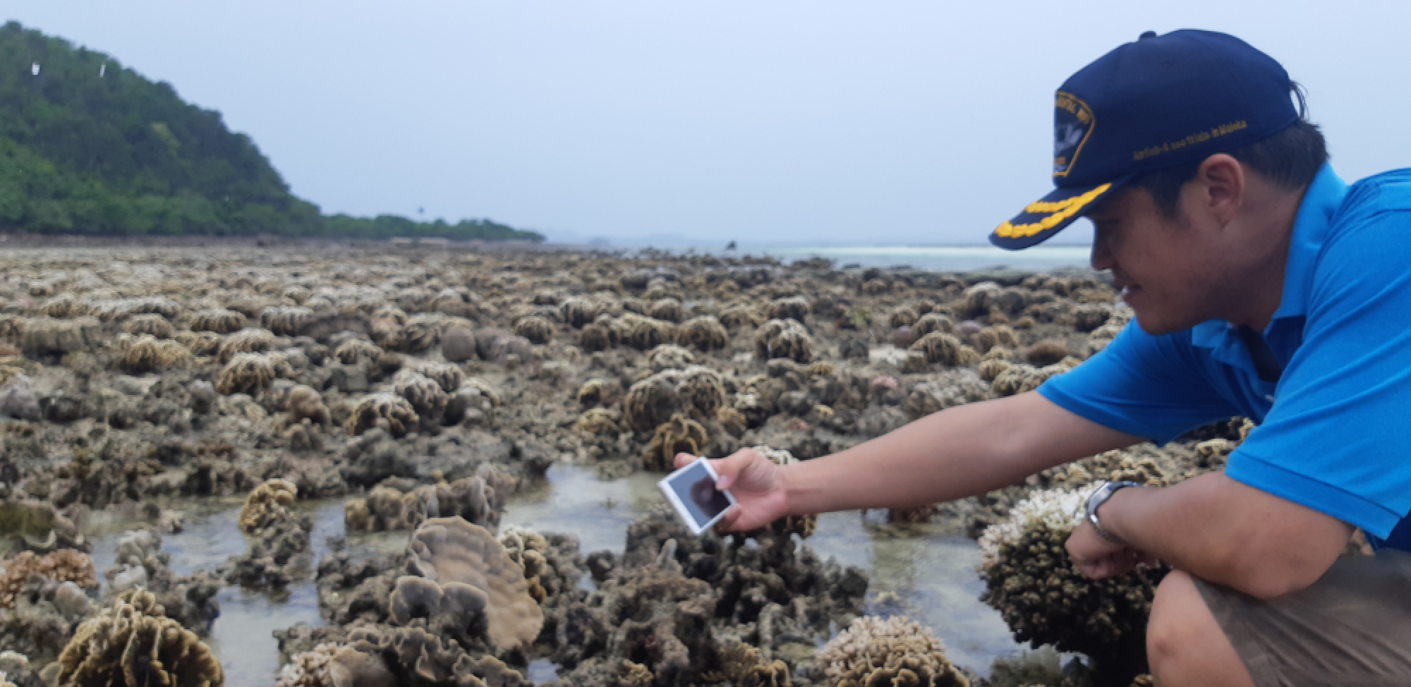 Out goes the tide, in comes a rare sighting of the beautiful seabed
