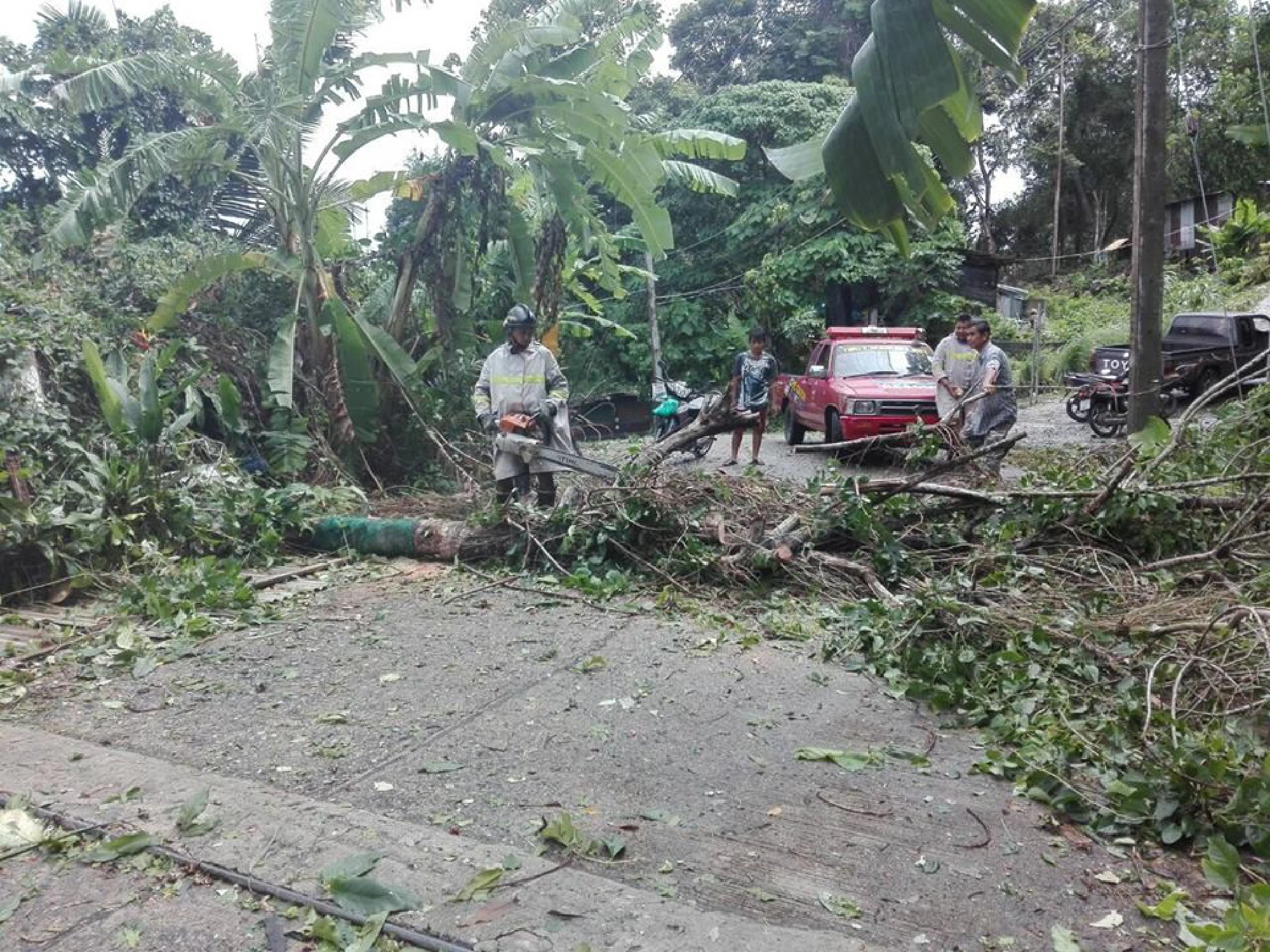 Ninety houses damaged, power cables  down on main roads after Phuket storms