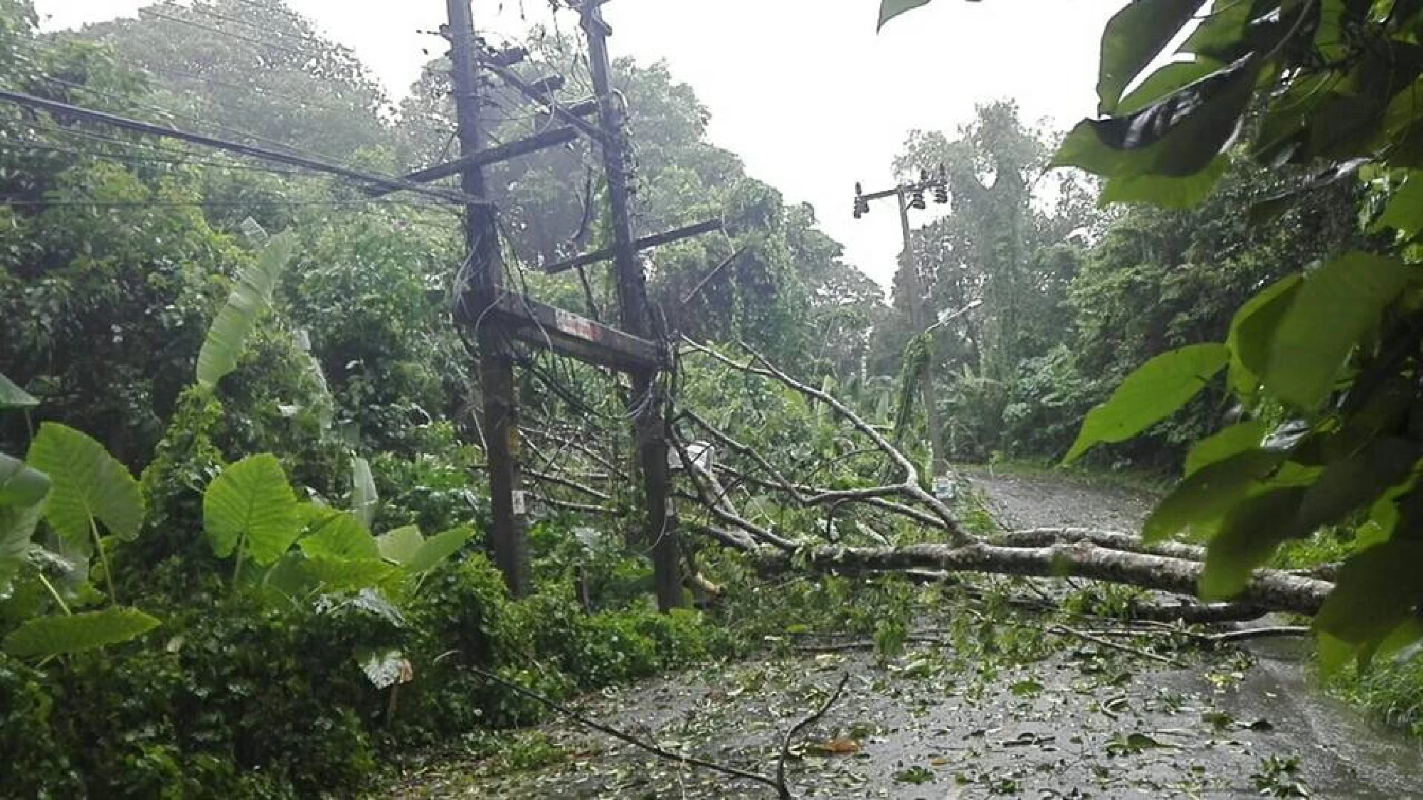 Ninety houses damaged, power cables  down on main roads after Phuket storms