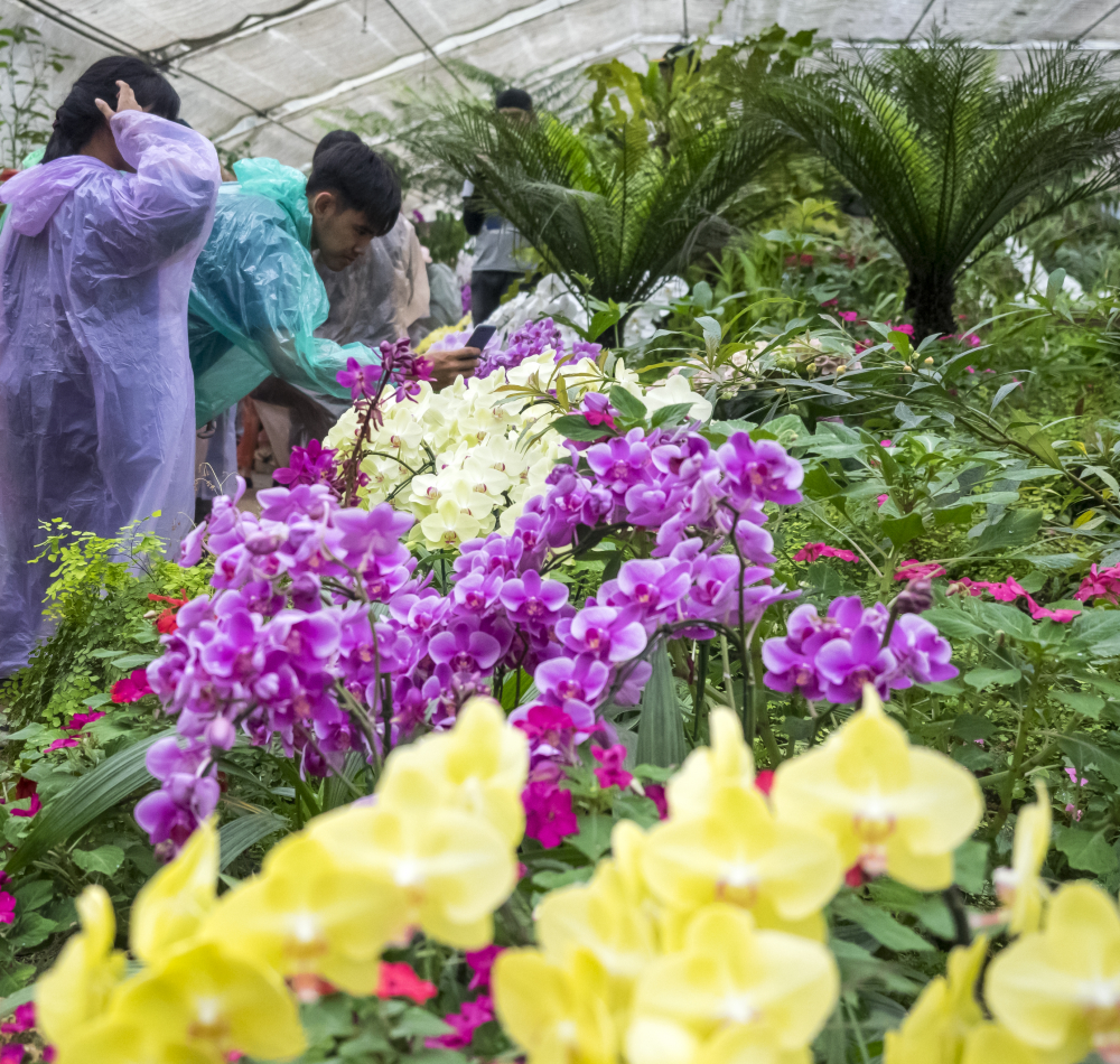 Sustainability redefined