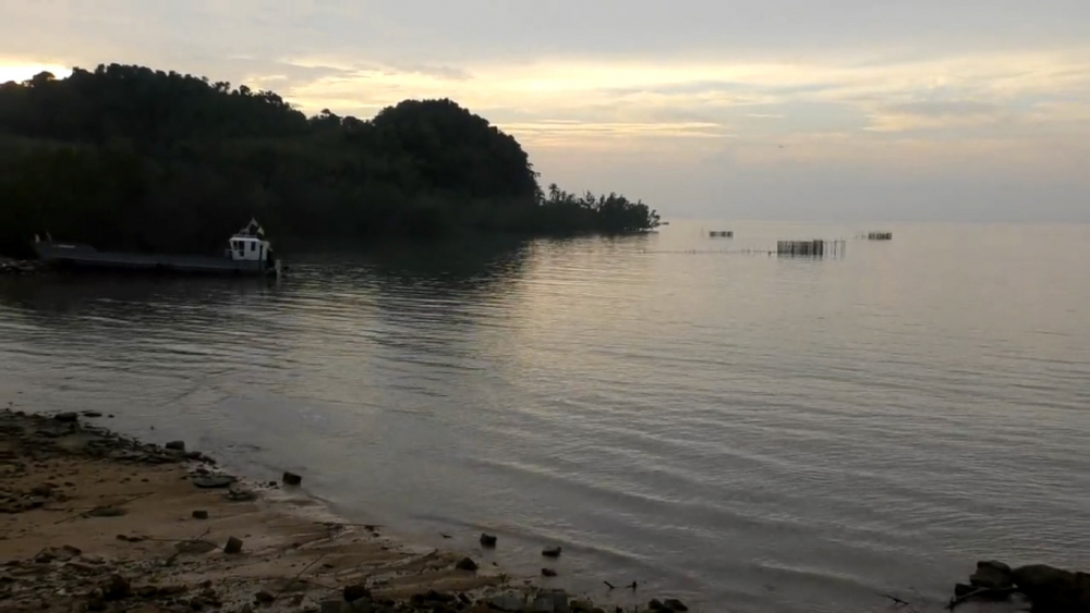 Illegal fish traps pulled from Trang bay