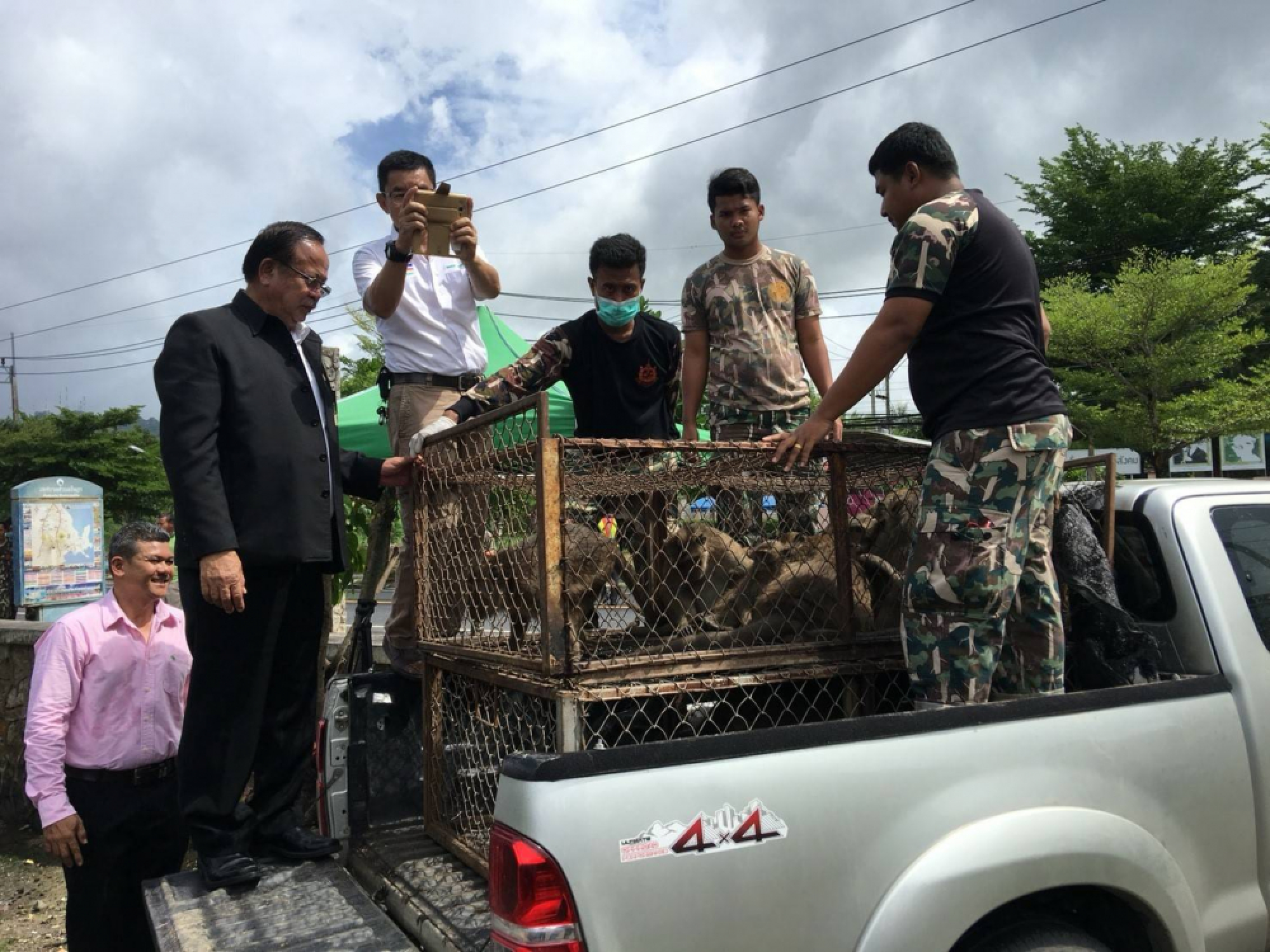 41 sterilised monkeys released on Koh Sirey