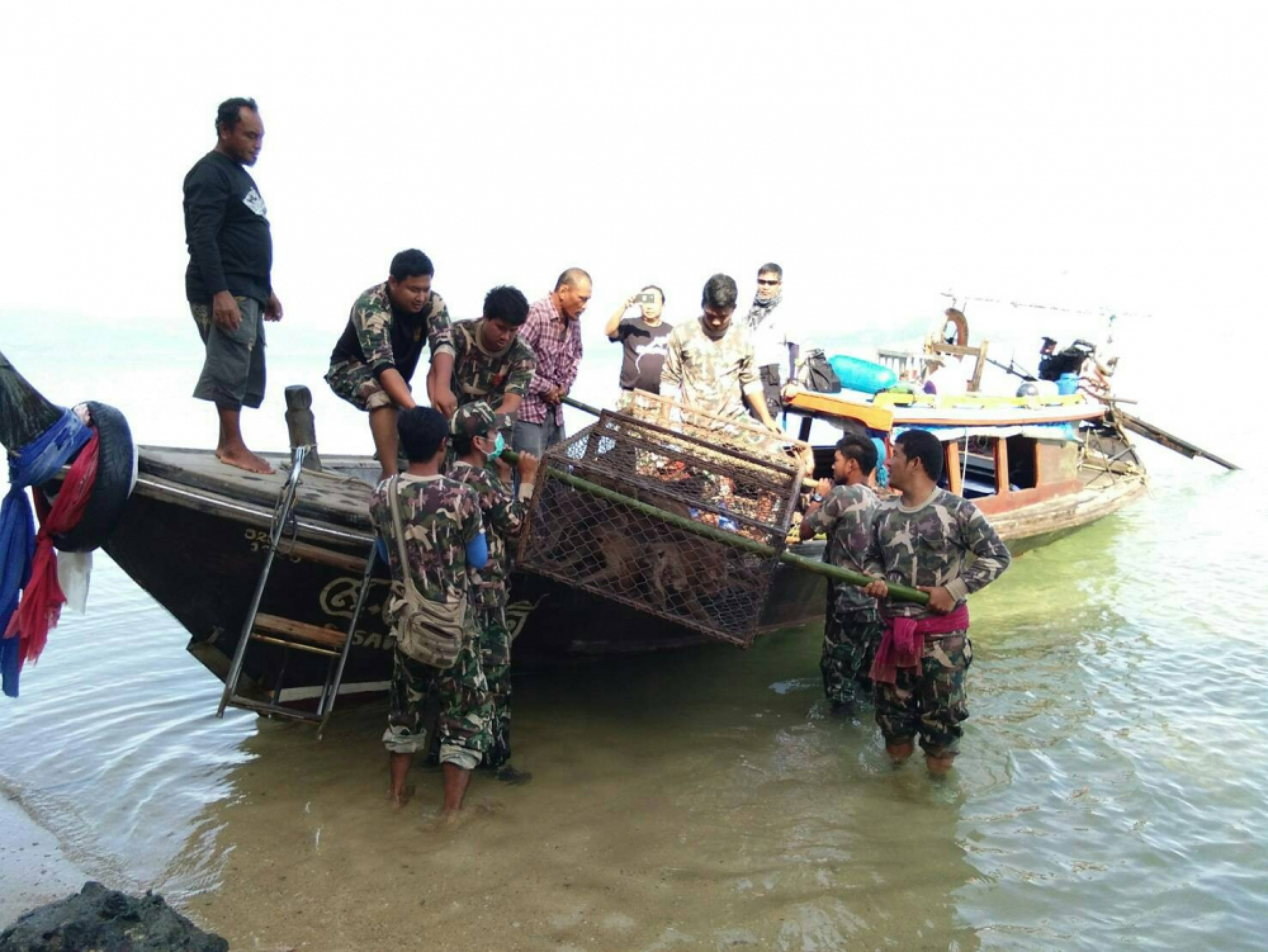 Monkeys released on Koh Payu