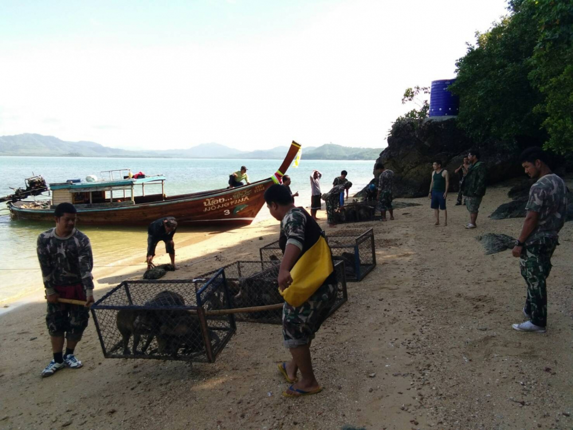 Monkeys released on Koh Payu