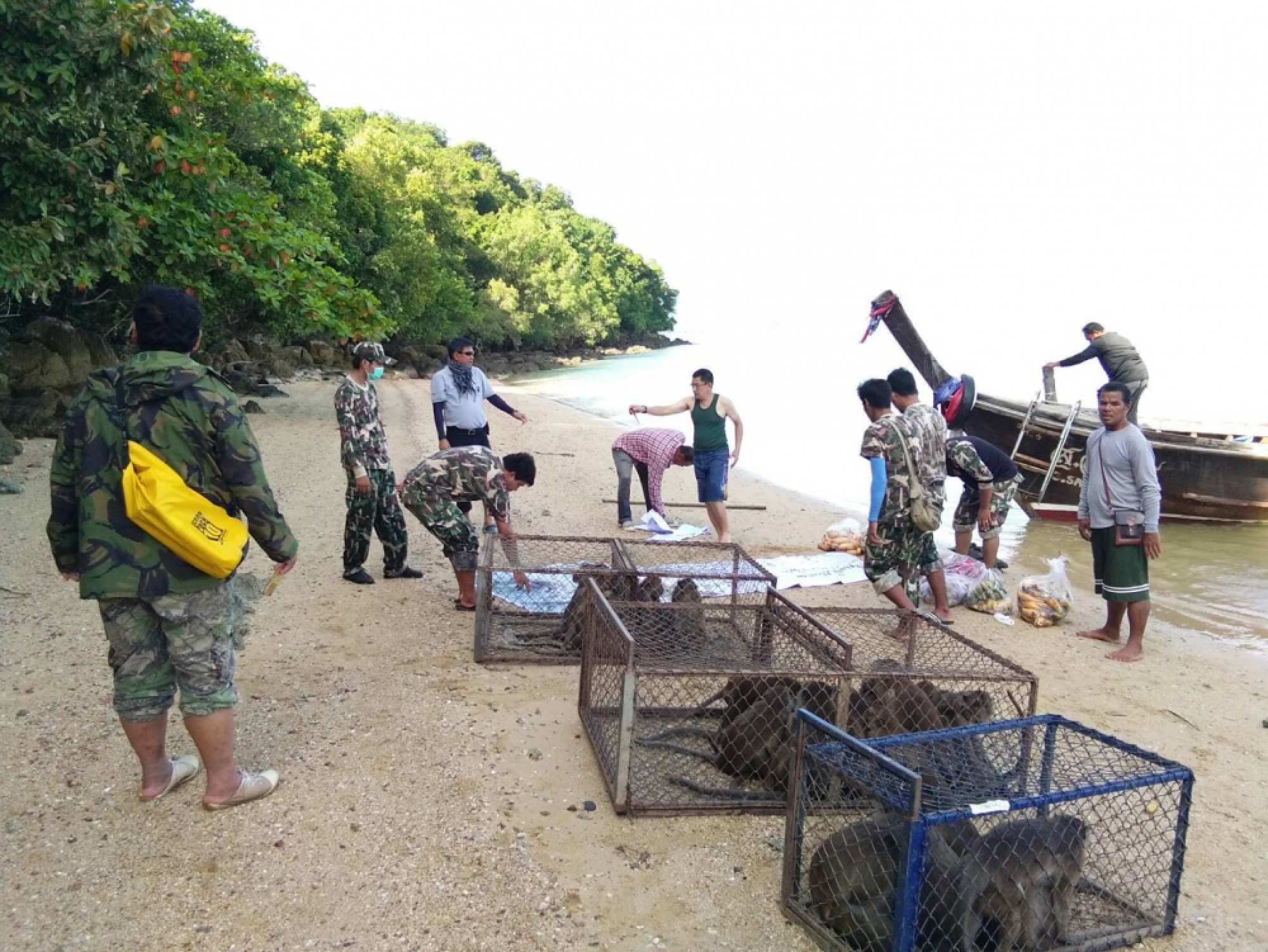 Monkeys released on Koh Payu