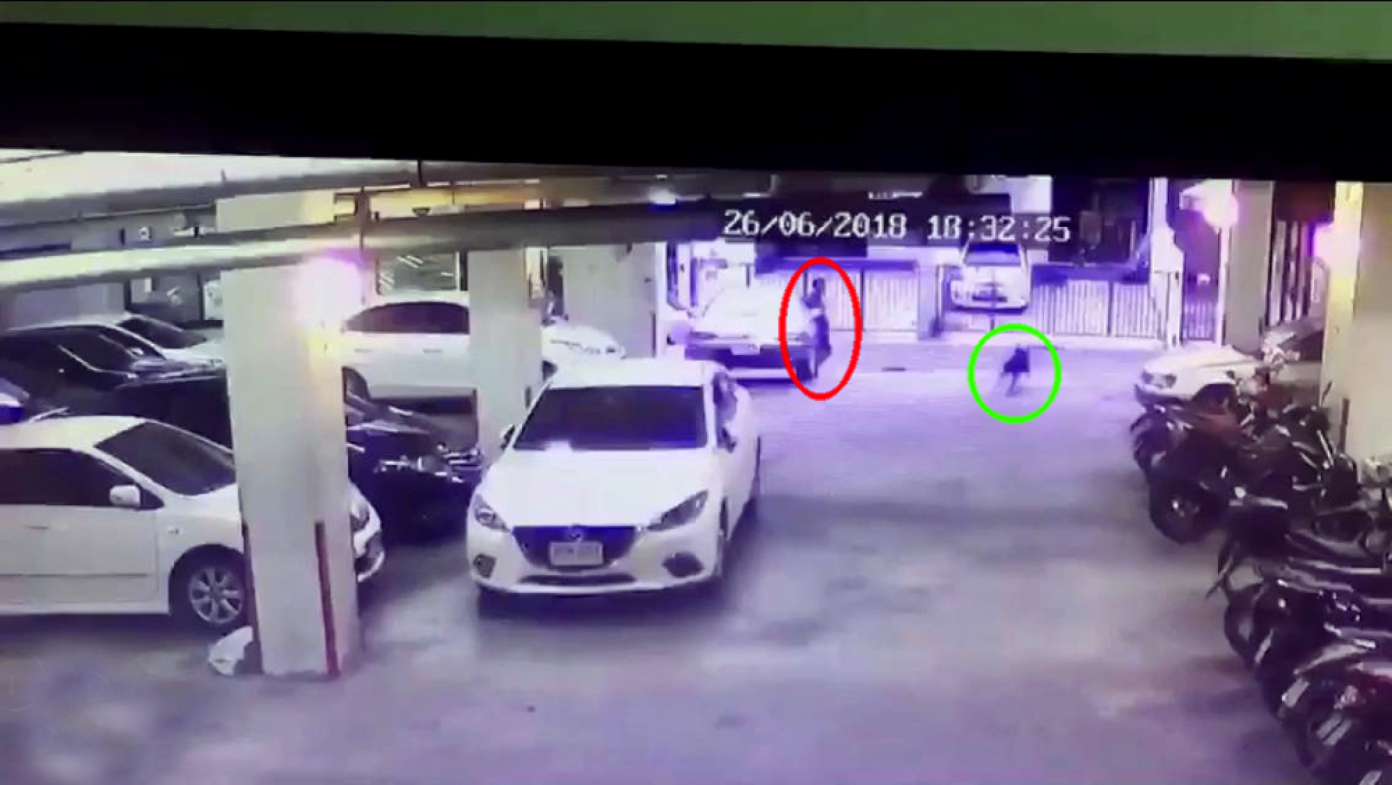 Bangkok soi dog gets last laugh as gun-wielding man arrested