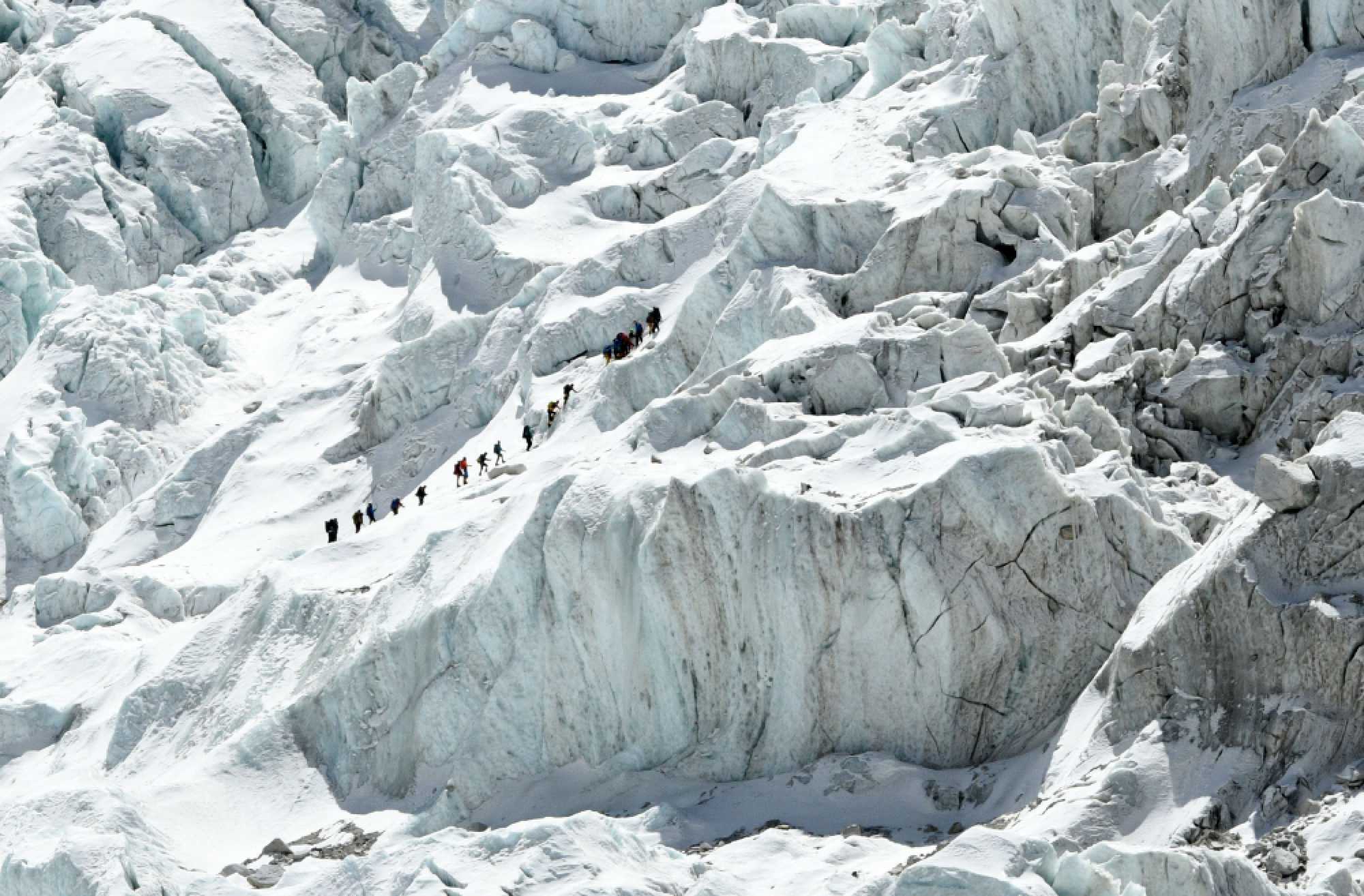 Lies and deception in the big white
