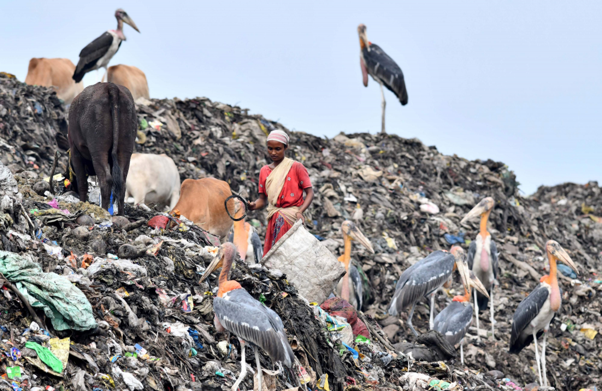 Delhi slum drowning in plastic as Environment Day focuses on India