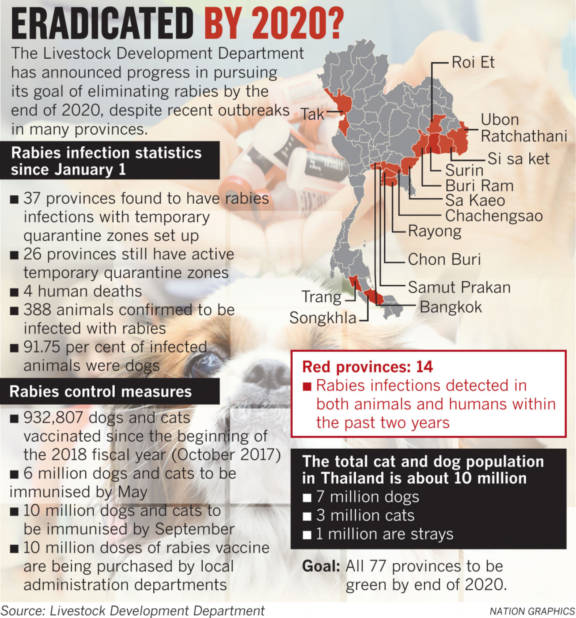 Rabies outbreak ‘under control’ despite spike in infections this year