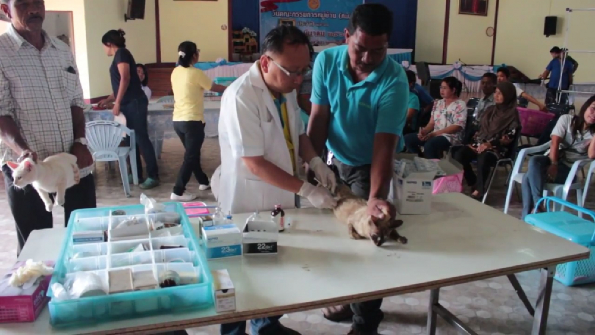 Rabies outbreak ‘under control’ despite spike in infections this year