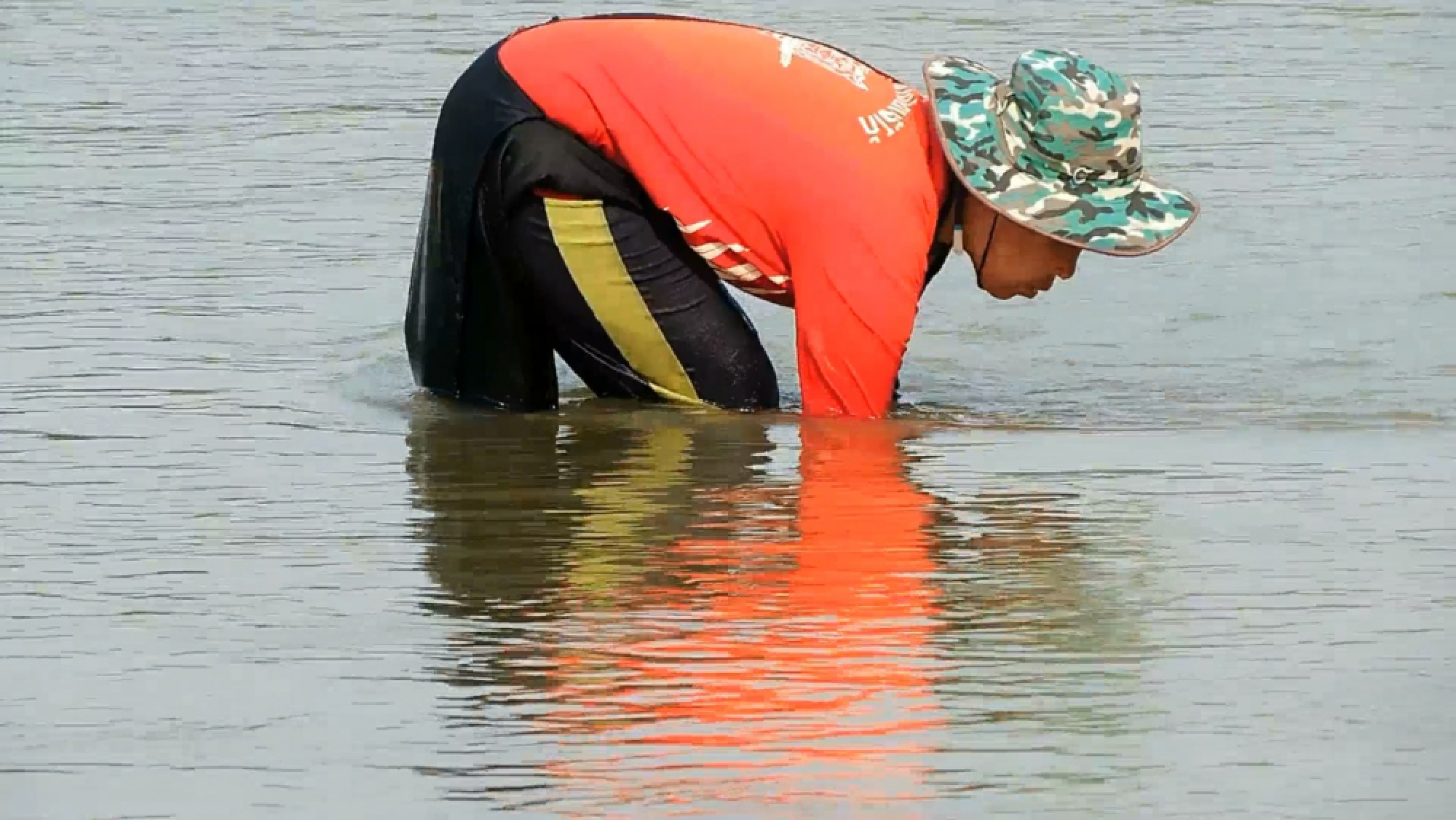 Villagers turn drought into baht, selling Mekong weed