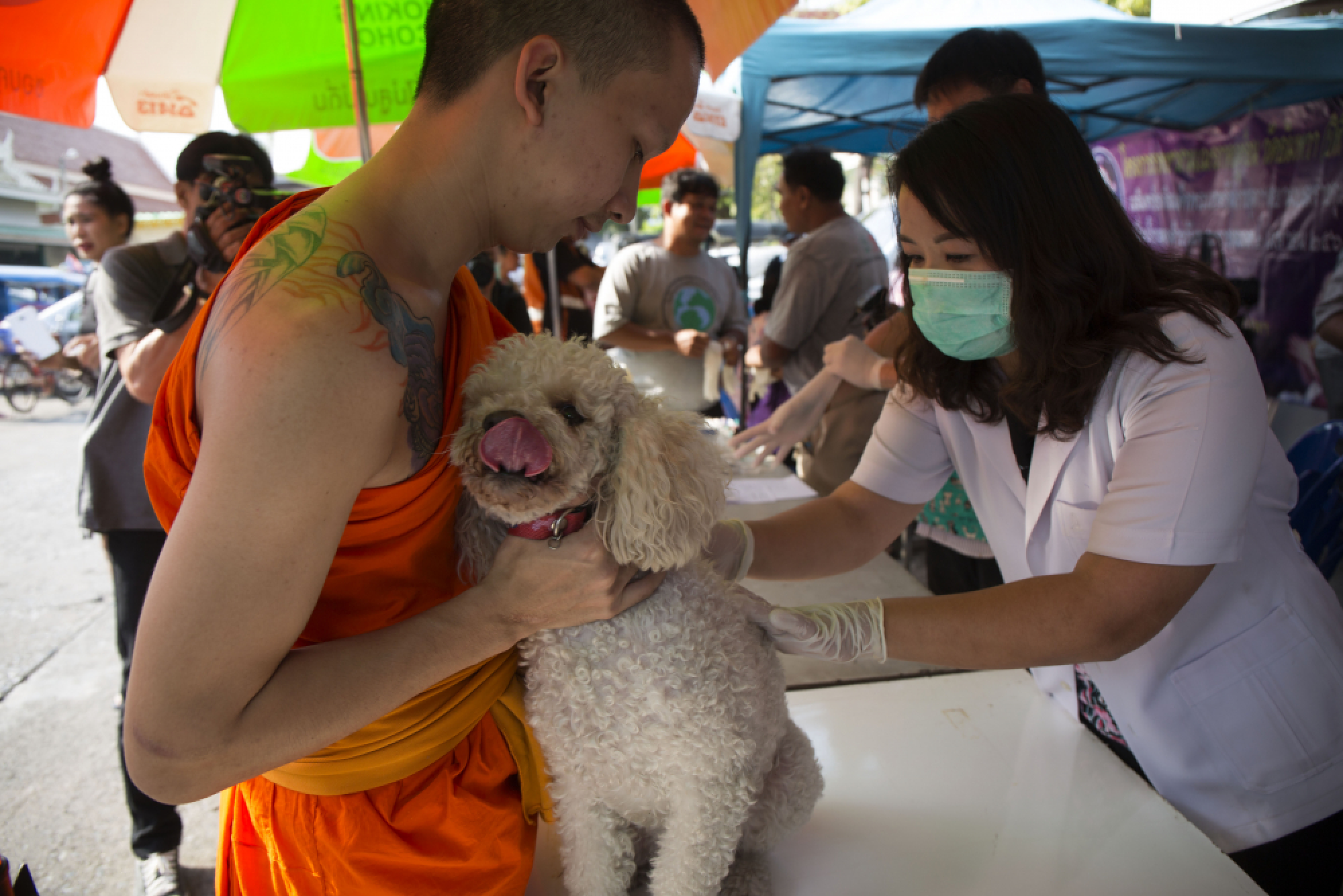 Ministry reassures public that rabies situation ‘under control’ – as two more die from disease