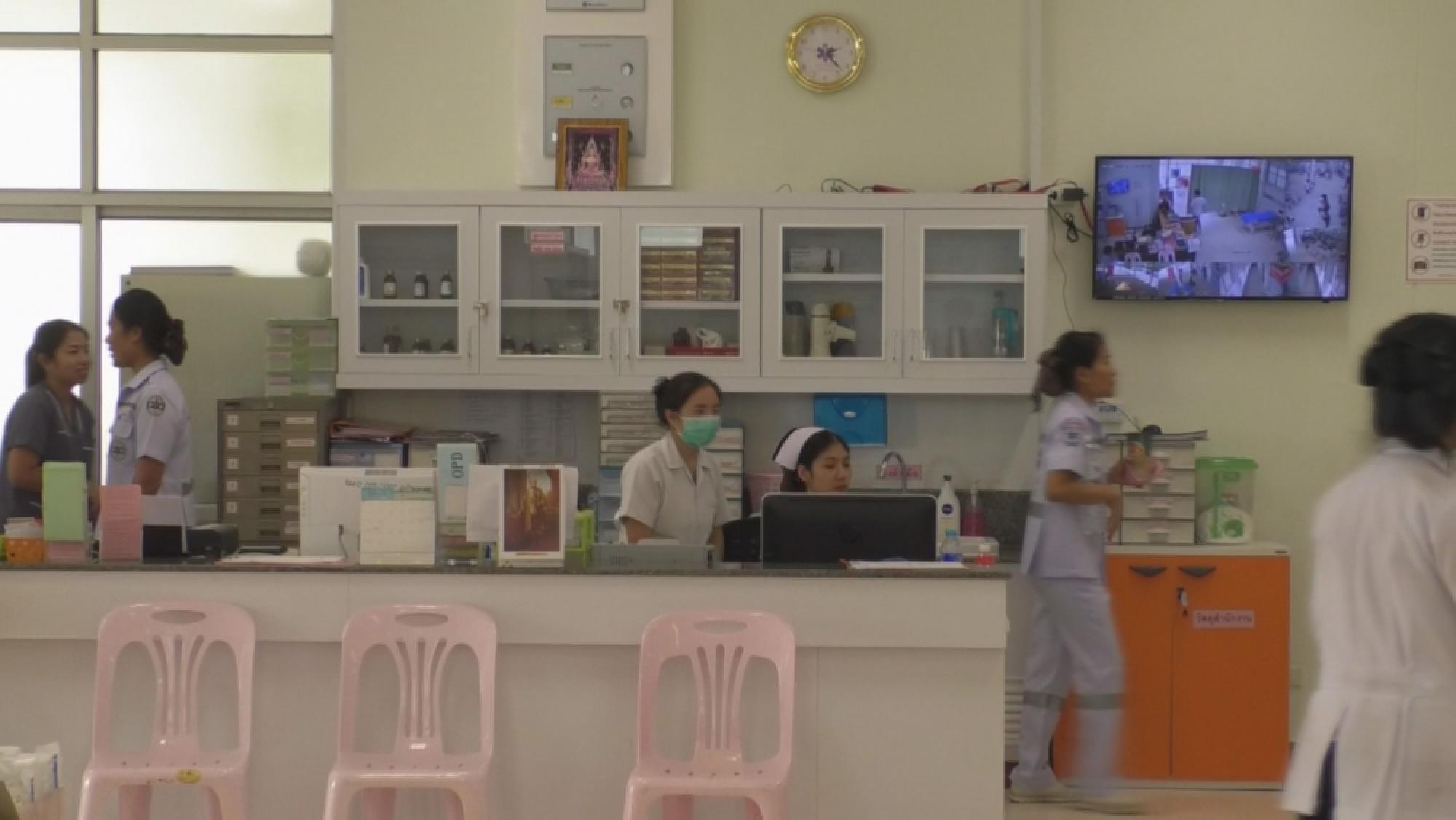 Ministry reassures public that rabies situation ‘under control’ – as two more die from disease