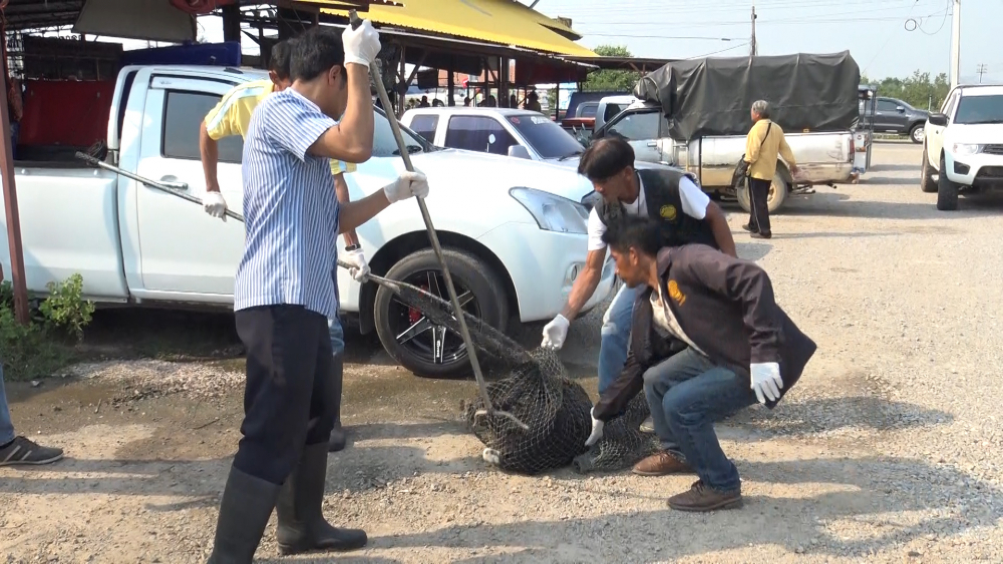 Ministry reassures public that rabies situation ‘under control’ – as two more die from disease