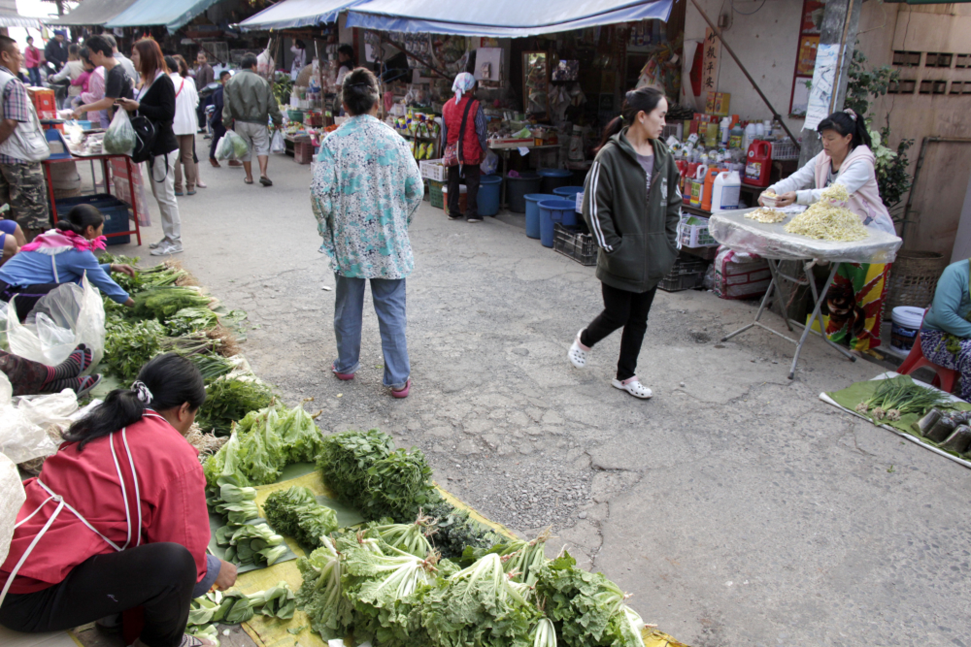 Hungry for the hills