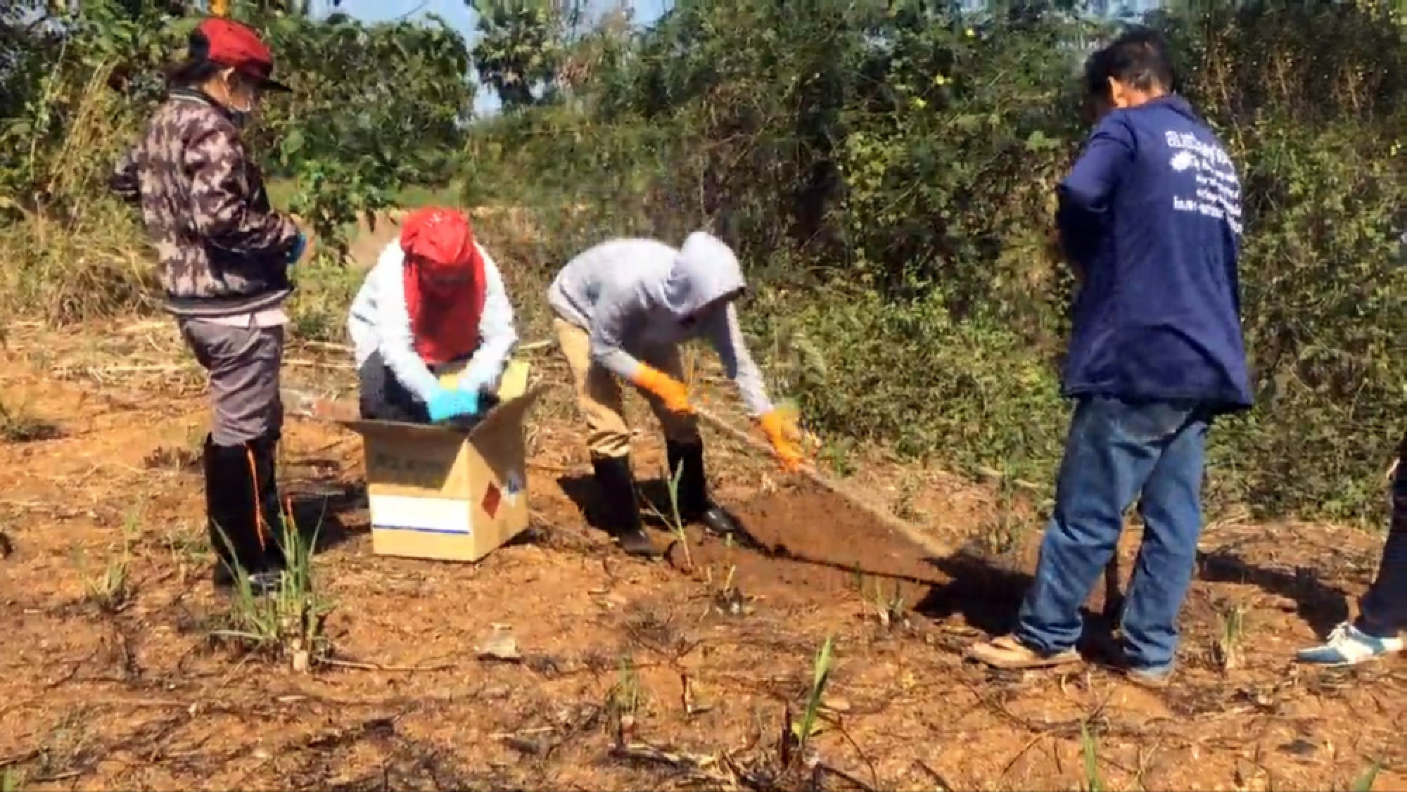 Researcher sounds alarm over herbicide in disease-ravaged Nong Bua Lamphu