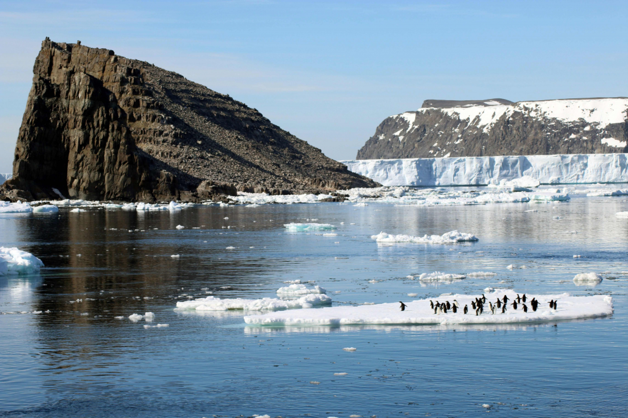 1.5 million penguins discovered on remote Antarctic islands