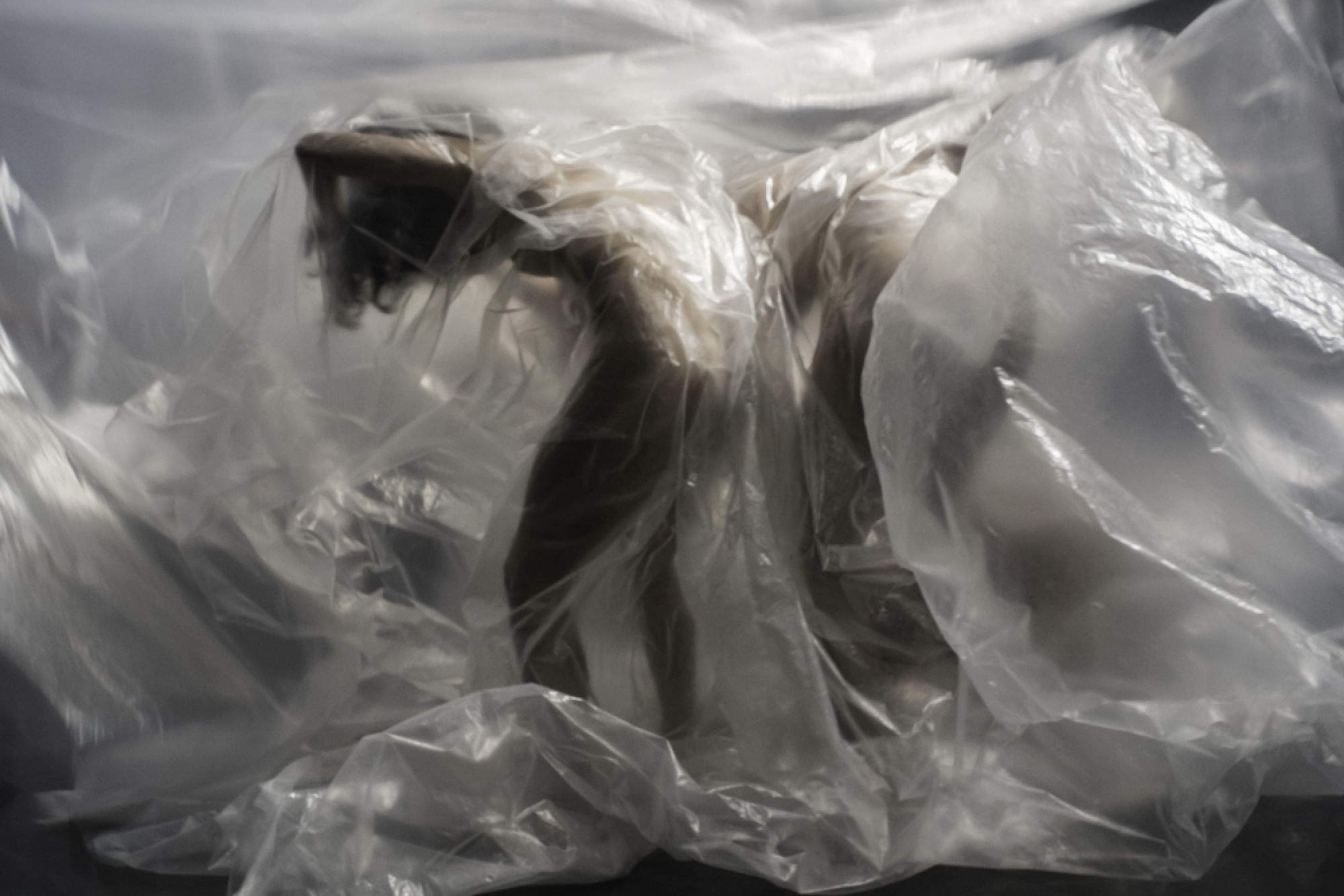 One roof, two contemporary performance experiences