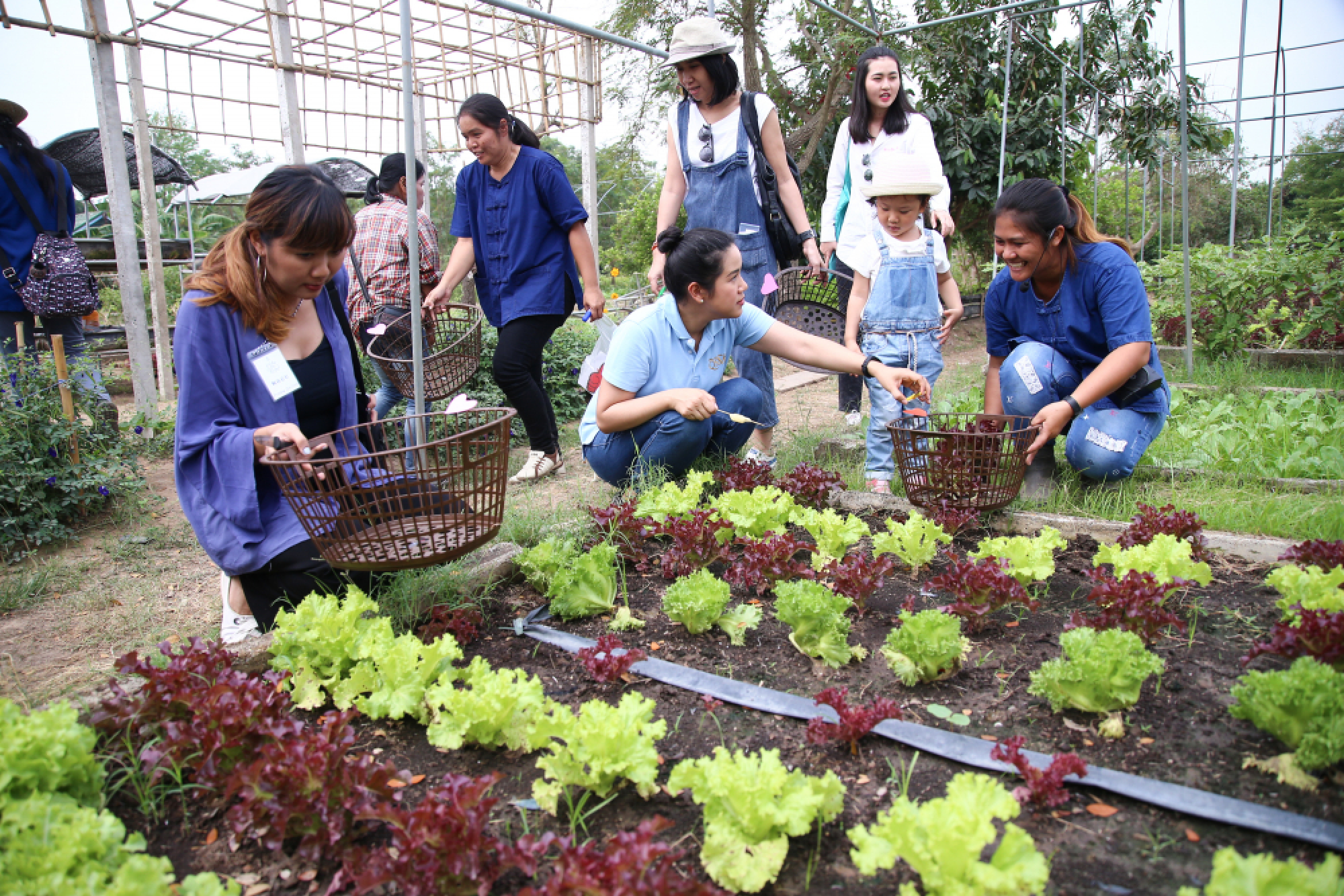 Fresh food, beautiful blooms and wonderful weaves