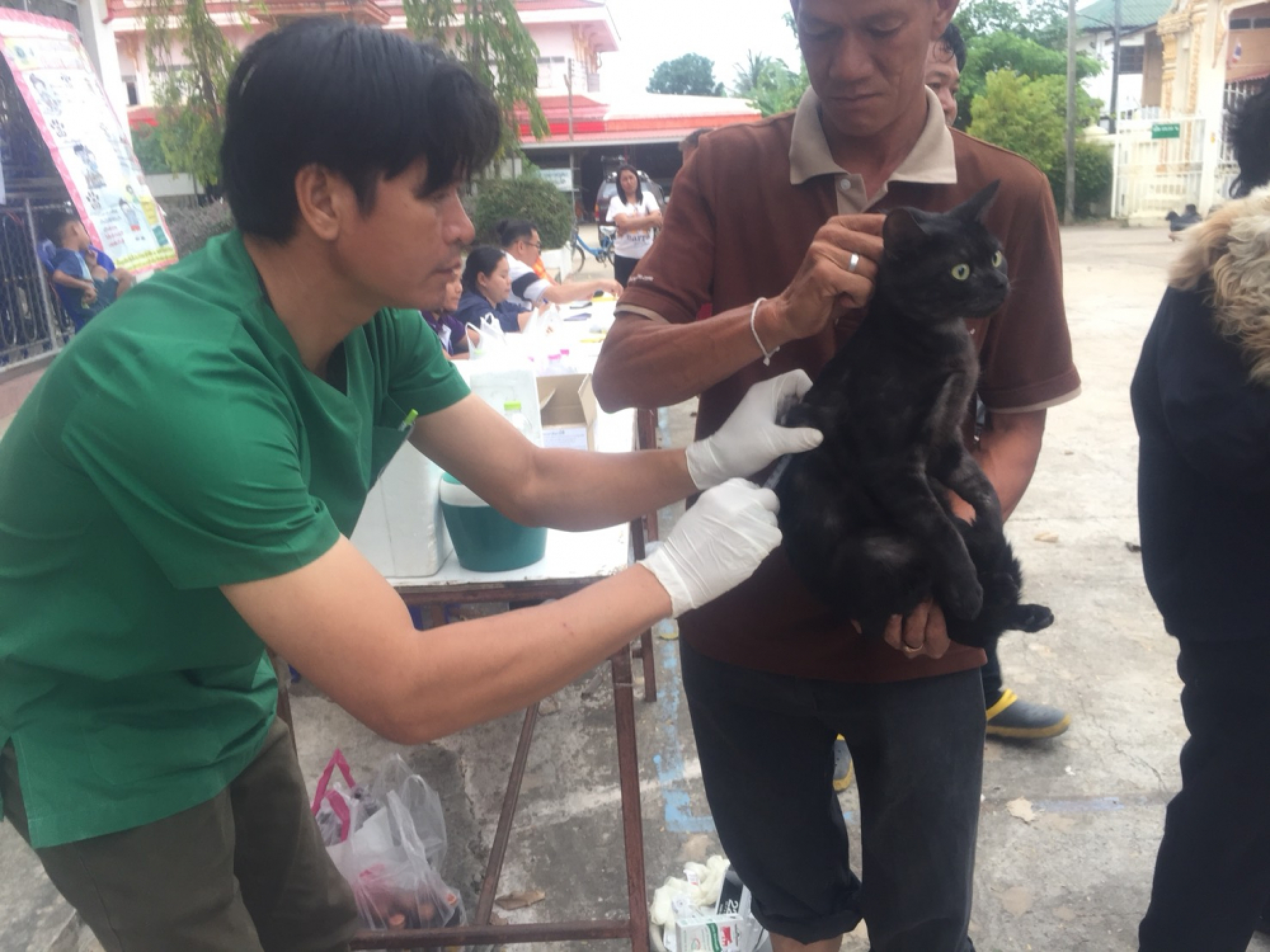 Rabies detected in 4 Chaiyaphum districts