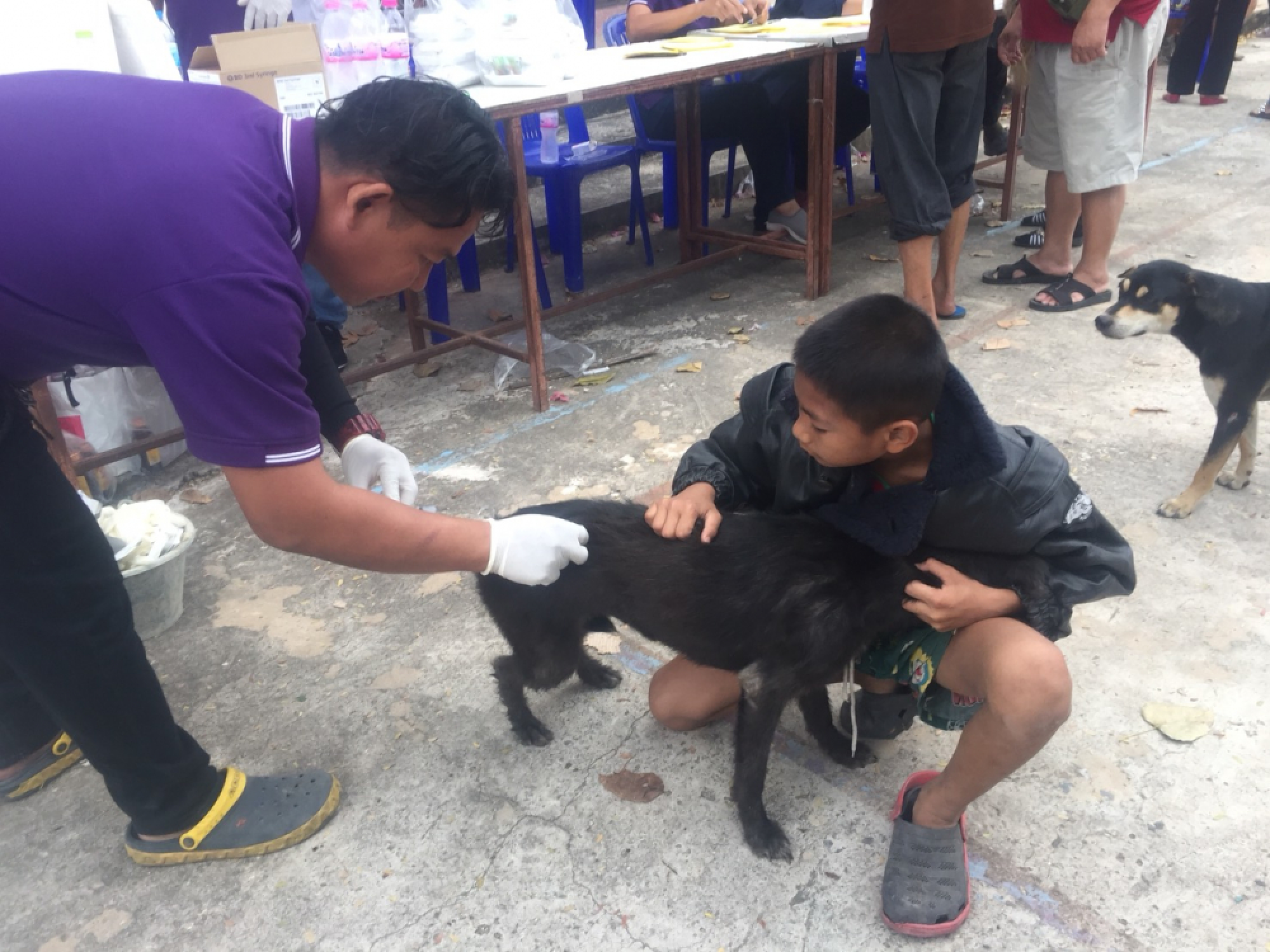 Rabies detected in 4 Chaiyaphum districts