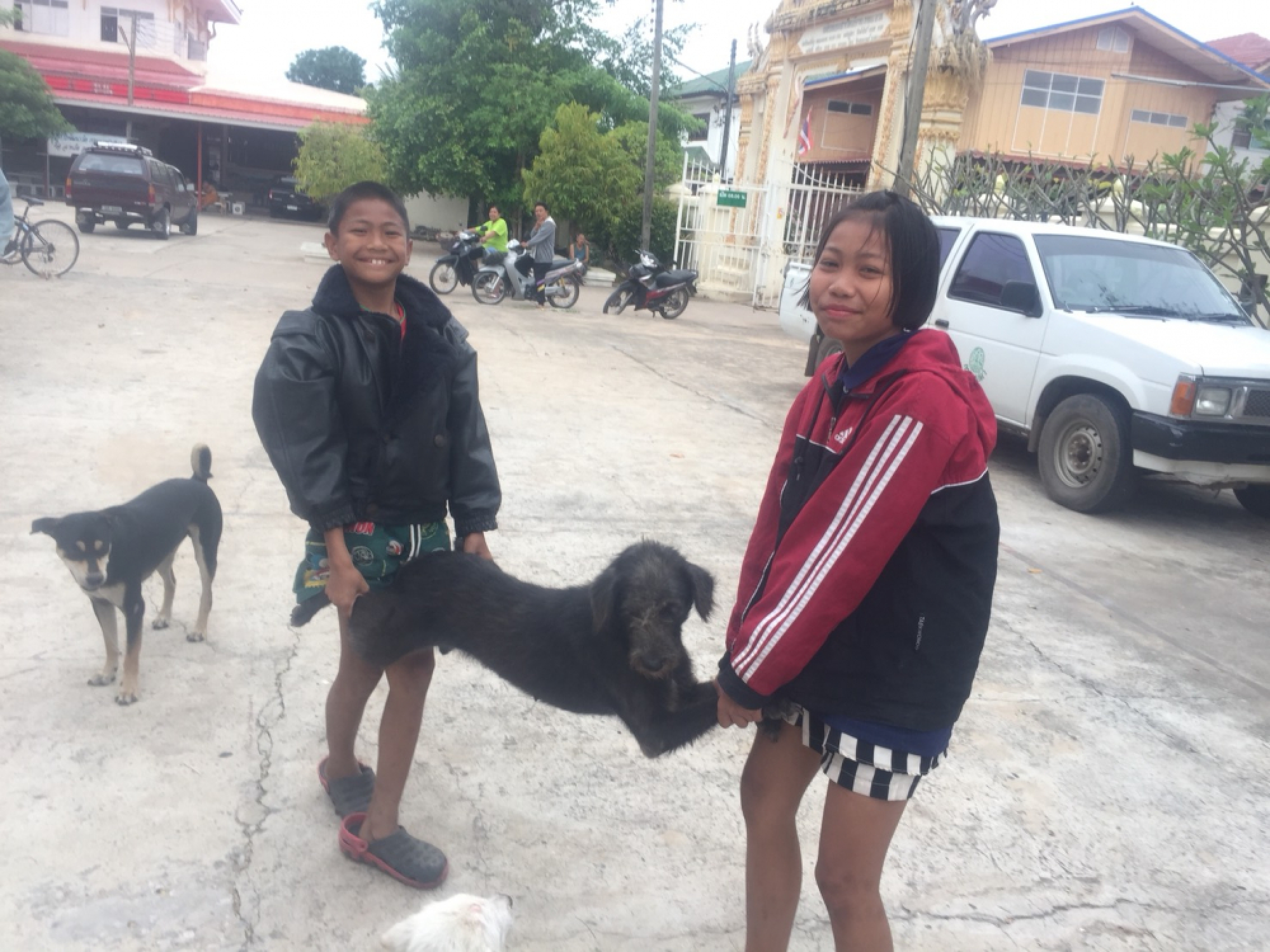 Rabies detected in 4 Chaiyaphum districts