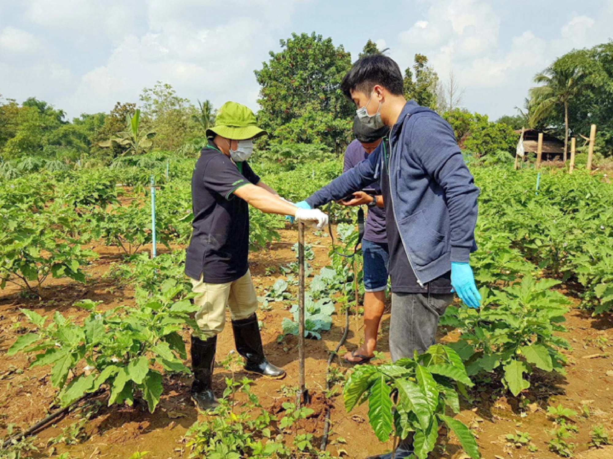 Researcher gets flak over study into dangerous herbicide