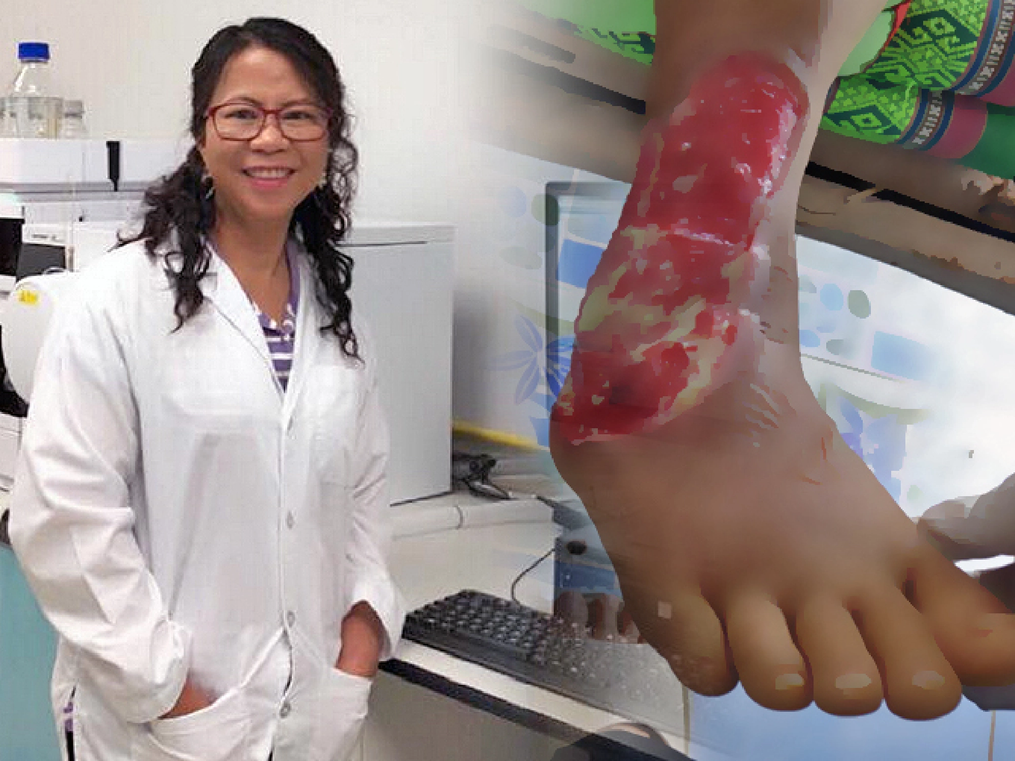 Researcher gets flak over study into dangerous herbicide