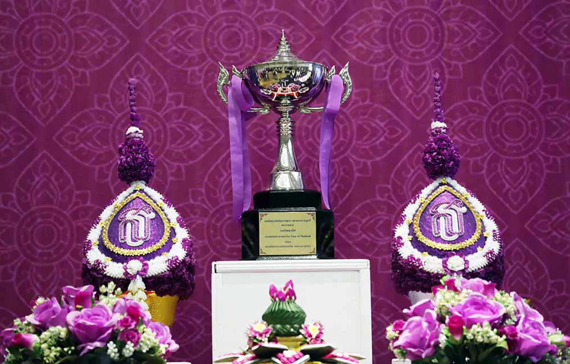 International cycling tour to honour Princess